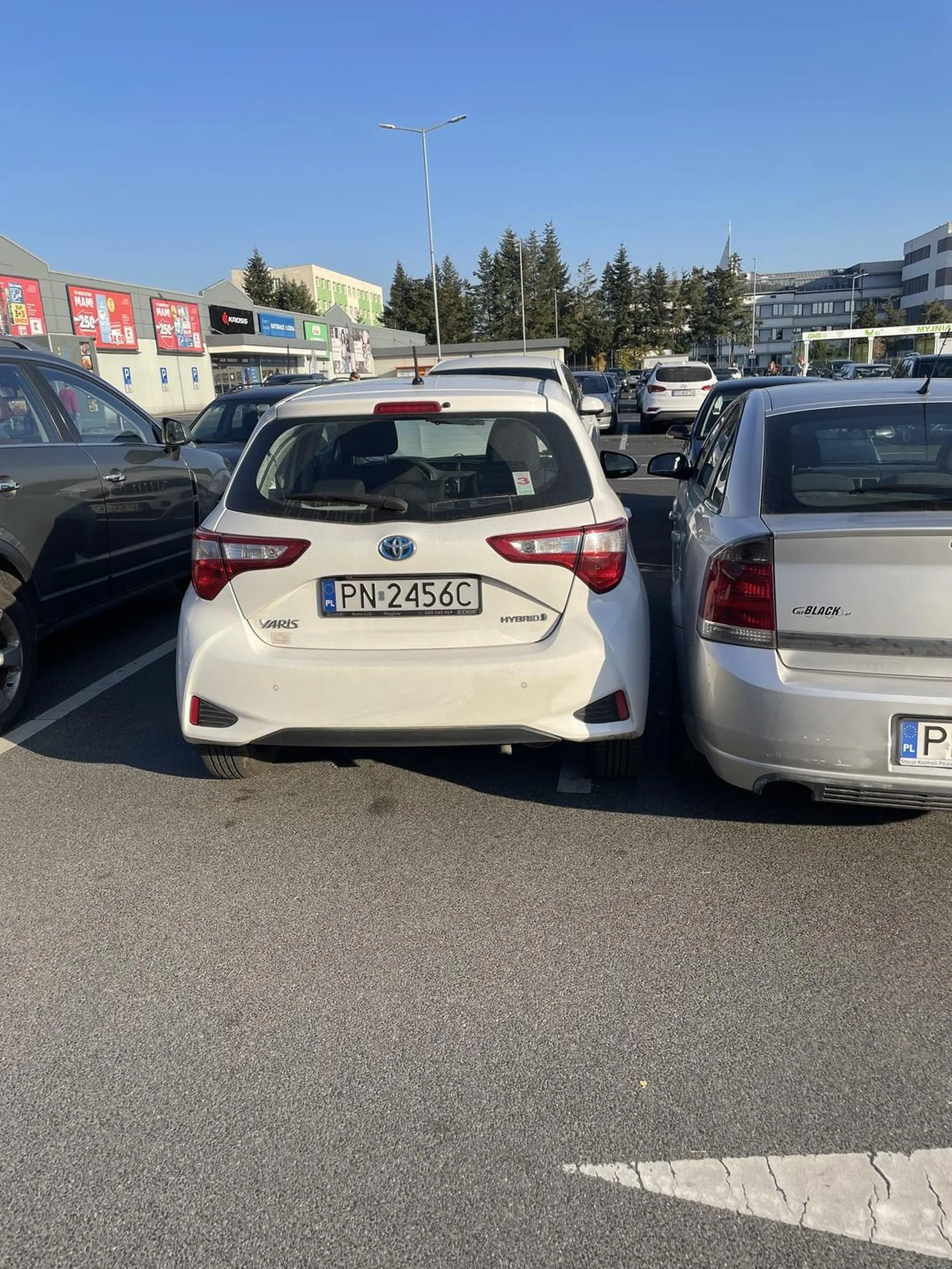 Prawko znalezione w lay’sach