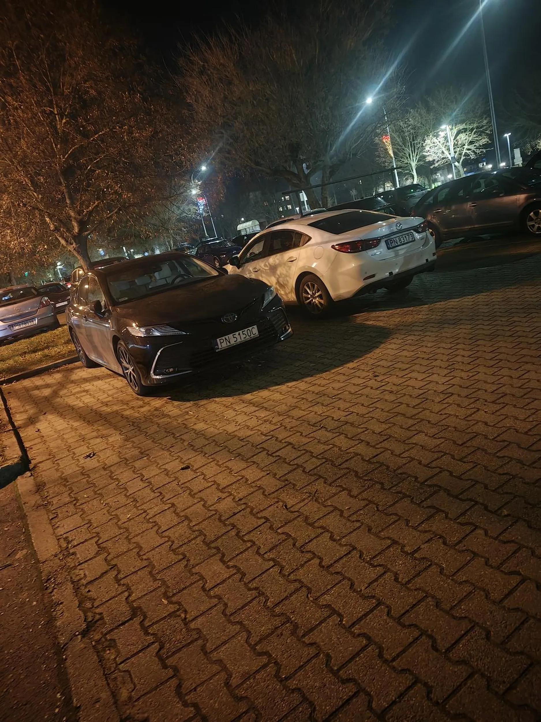 Mistrzyni parkowania z Konina