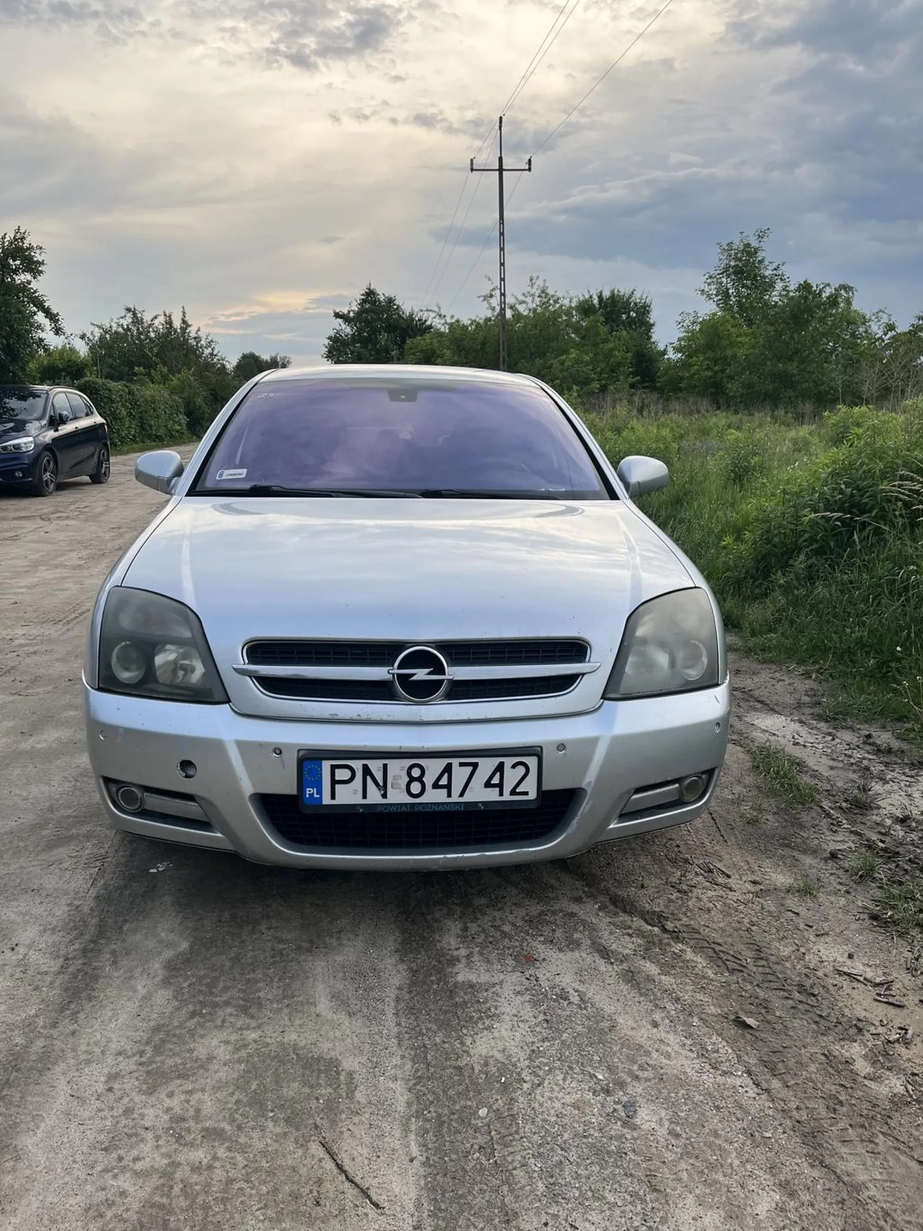 Mistrz parkowania, stoi na środku ulicy