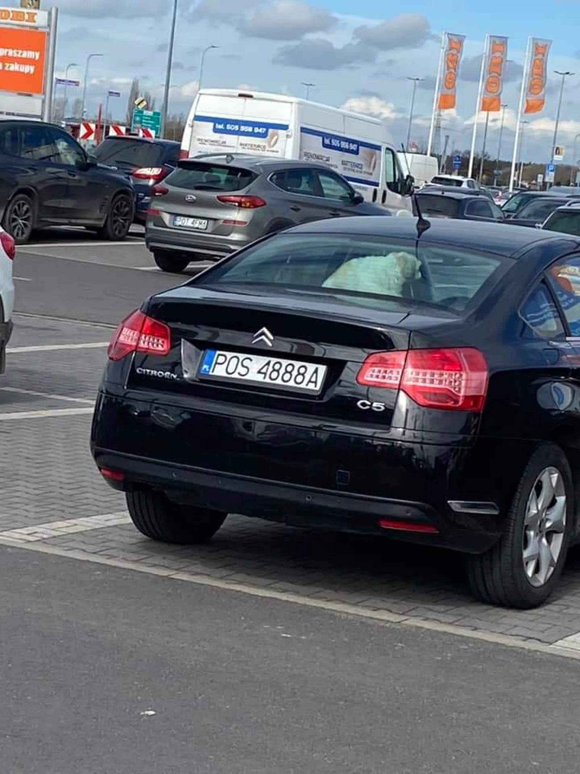 Wstyd zostawiać tak psa w aucie na prawie godzinę