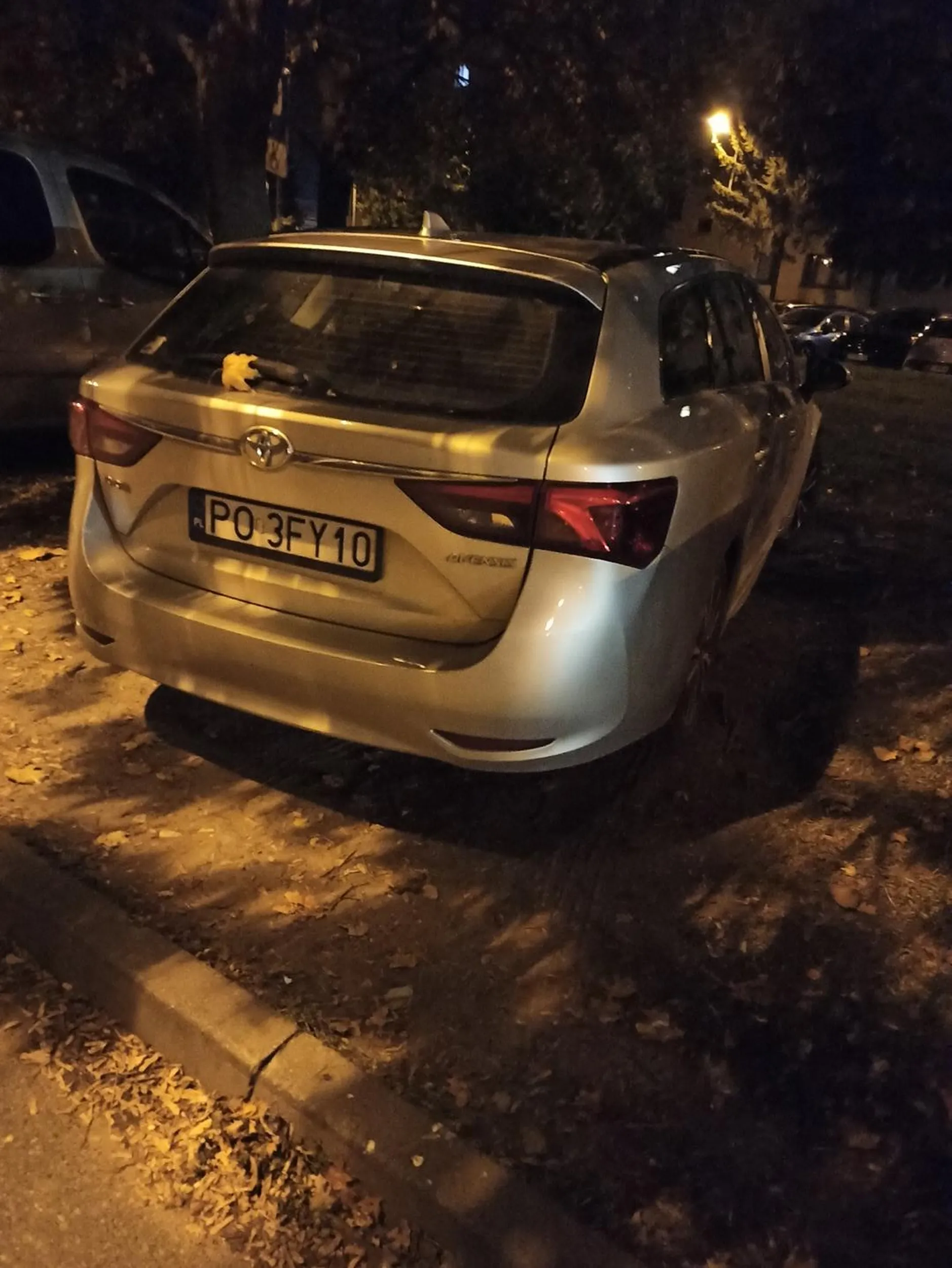 Bezczelna dewastacja trawnika! Piotrków Trybnalski.