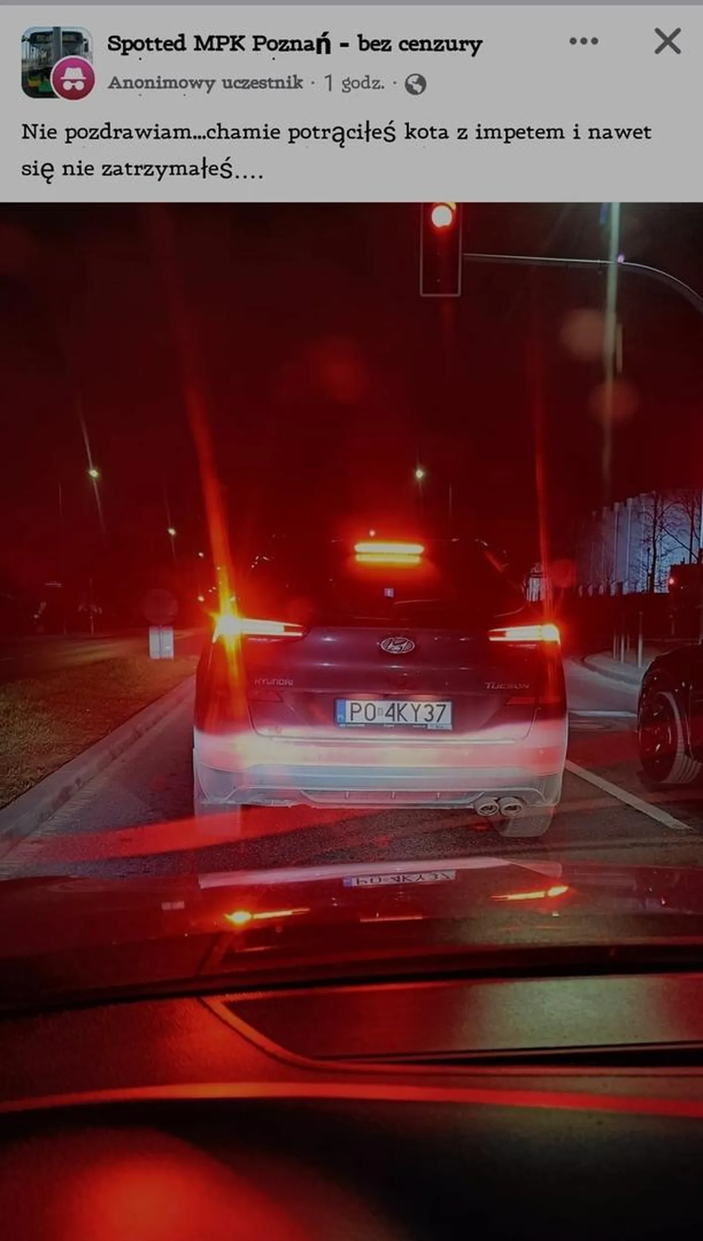 Potrącił z impetem kota i nawet się nie zatrzymał