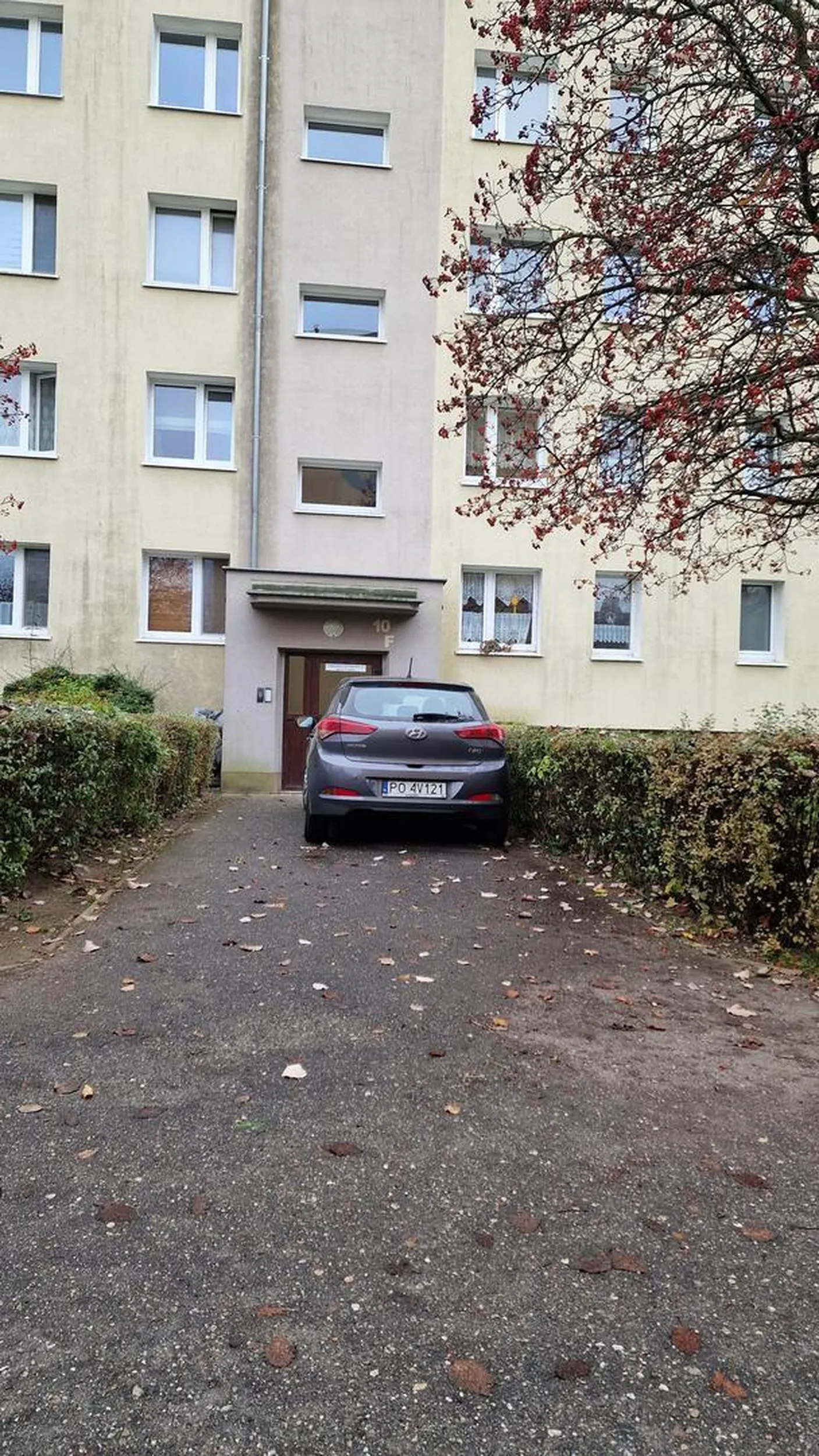 Nie dość że morderca kaczek to jeszcze mistrz parkowania