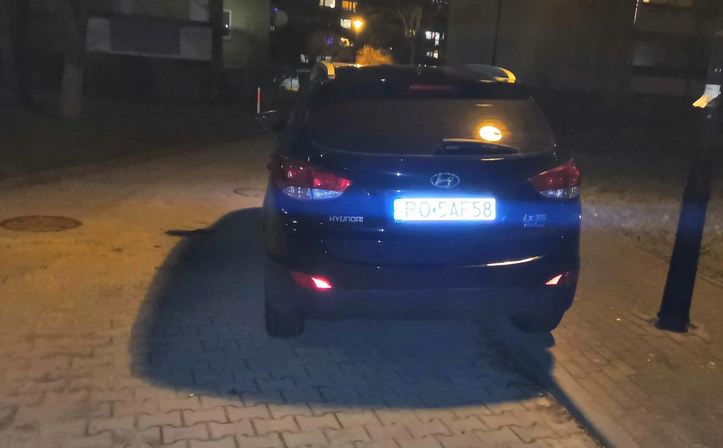 Cwaniak-poznaniak. Jak wyżej.