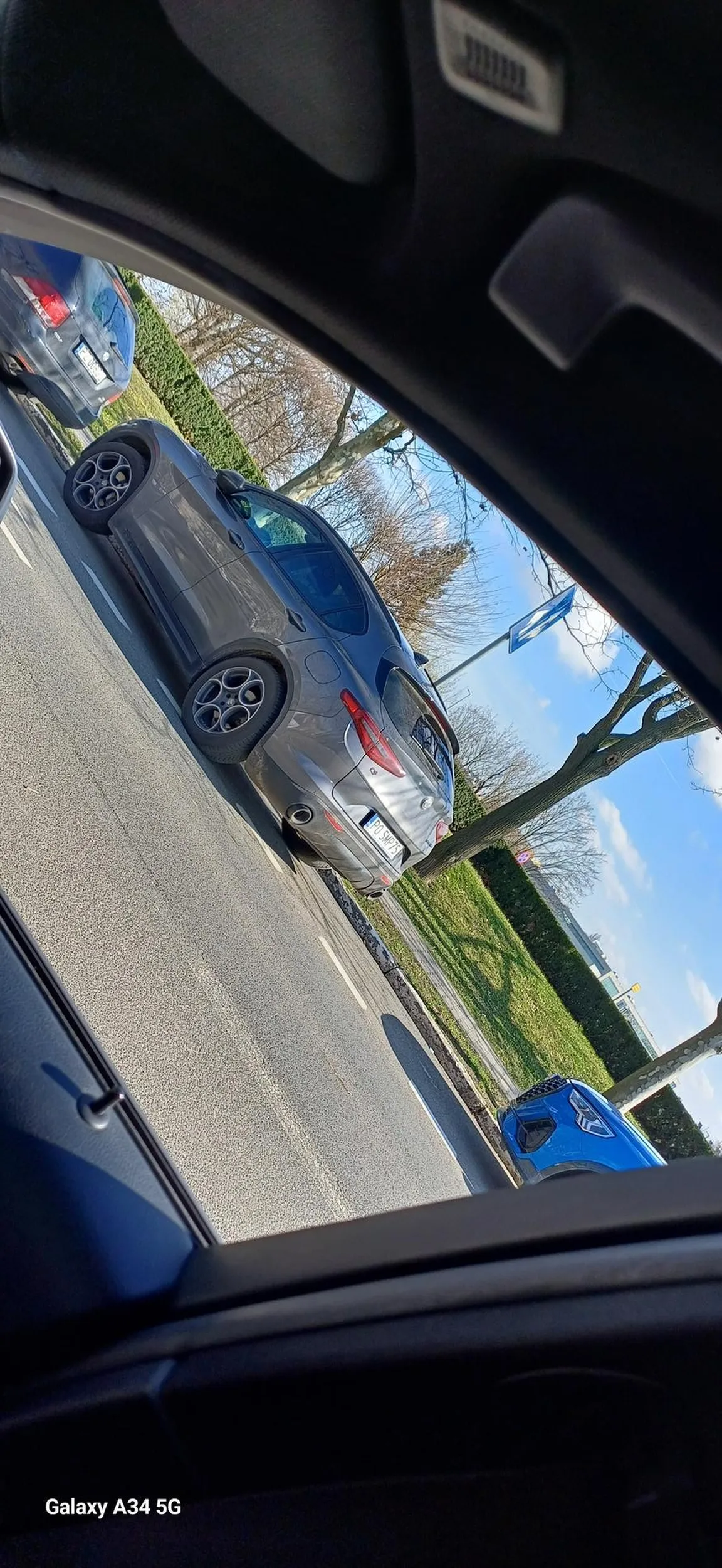 Mistrzyni parkowania