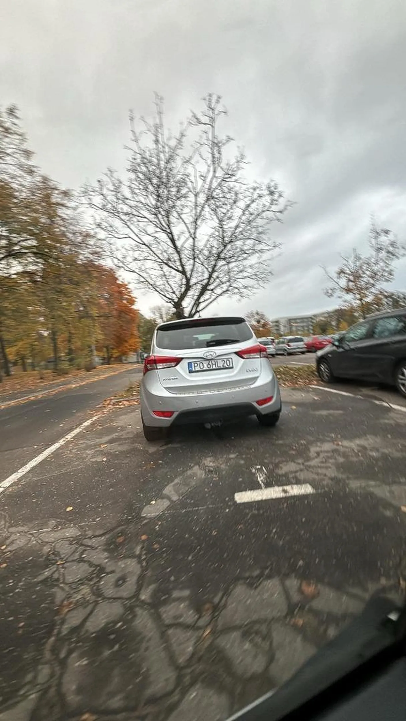 Prawko wygrane w paluszkach