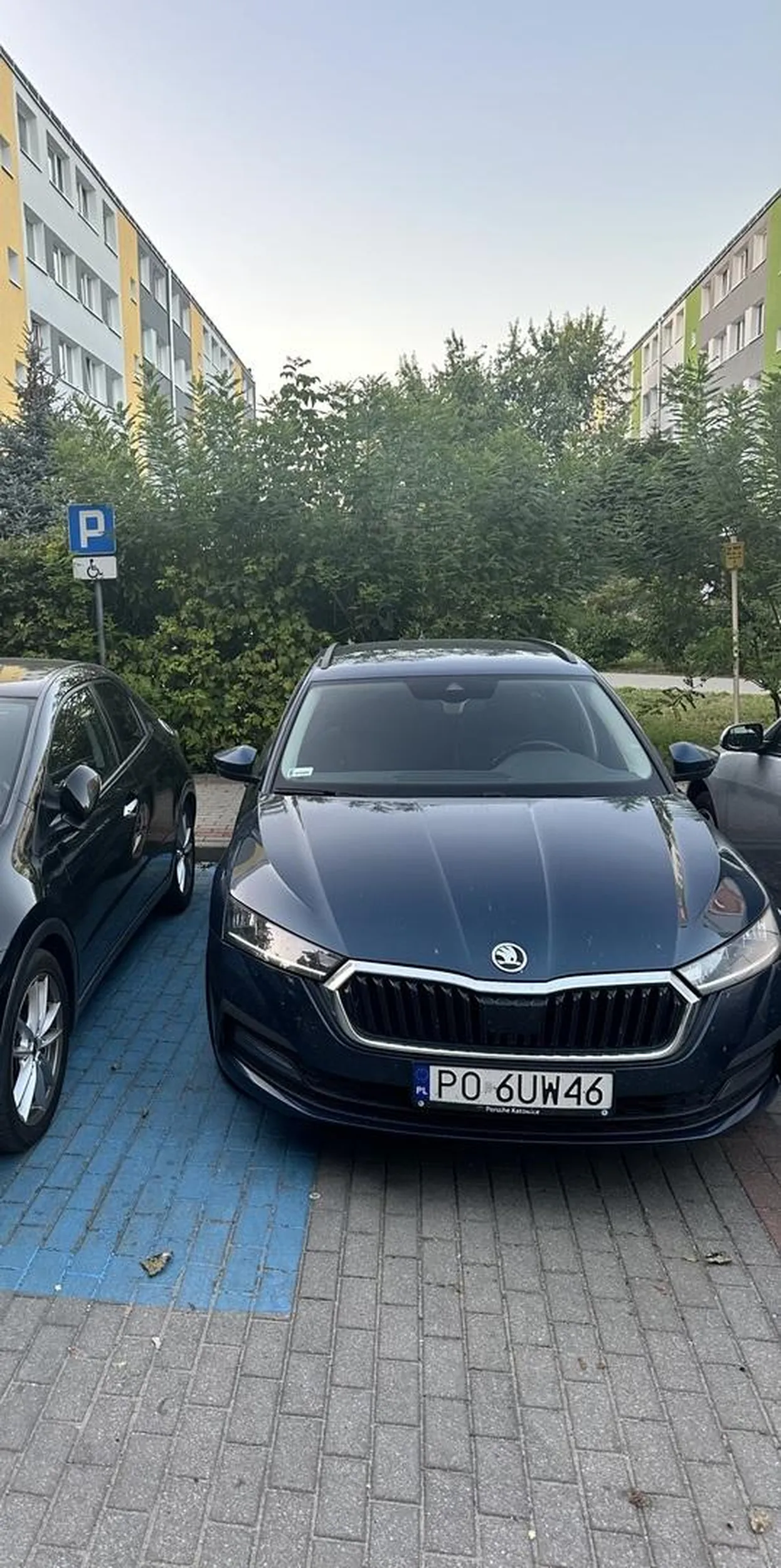 Służbowym to można wszystko. Powodzenia osobie niepełnosprawnej w dostaniu się do pojazdu np. na wózku inwalidzkim.