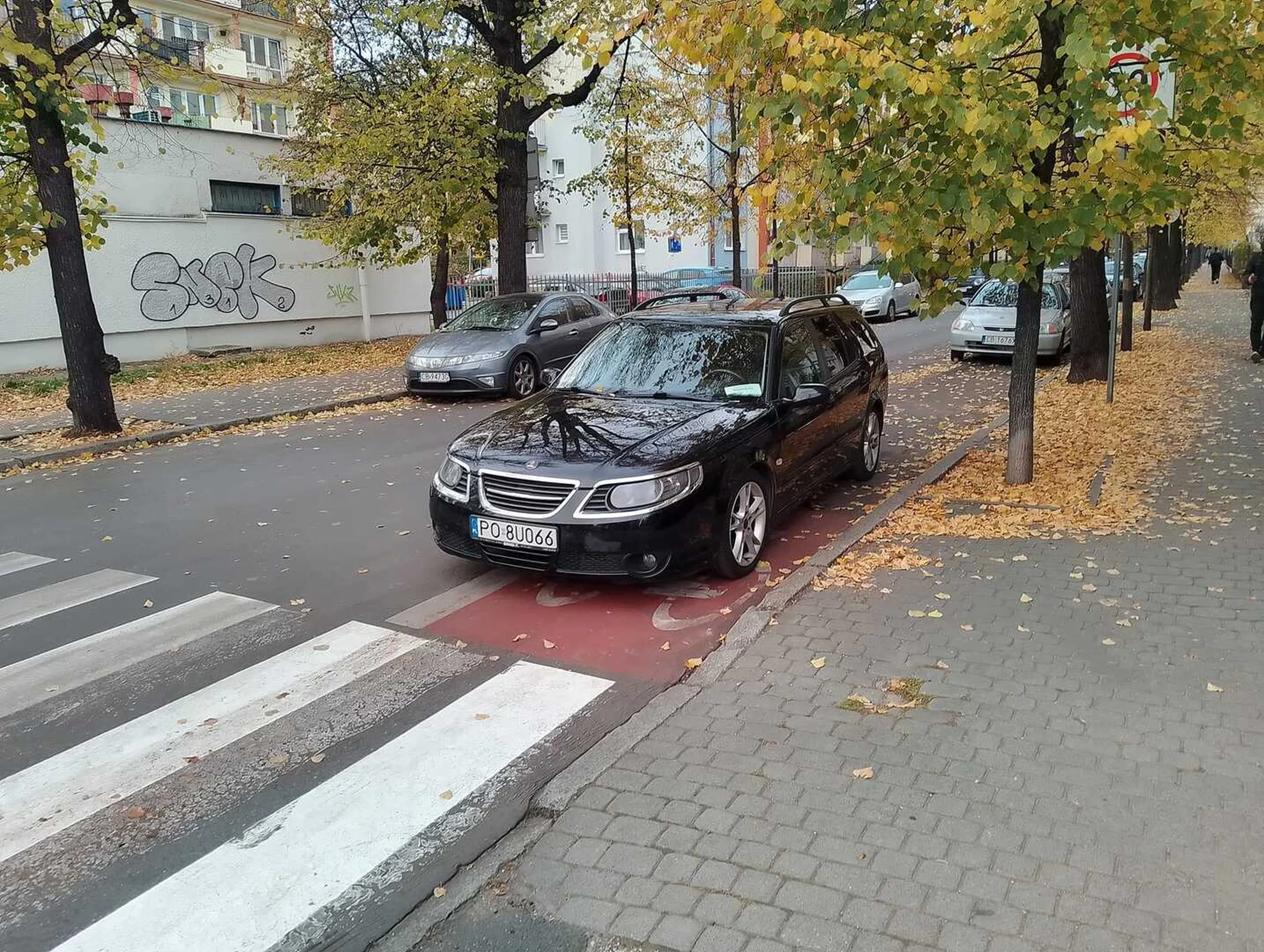 Parkuje jak dziki. Na ścieżce rowerowej.