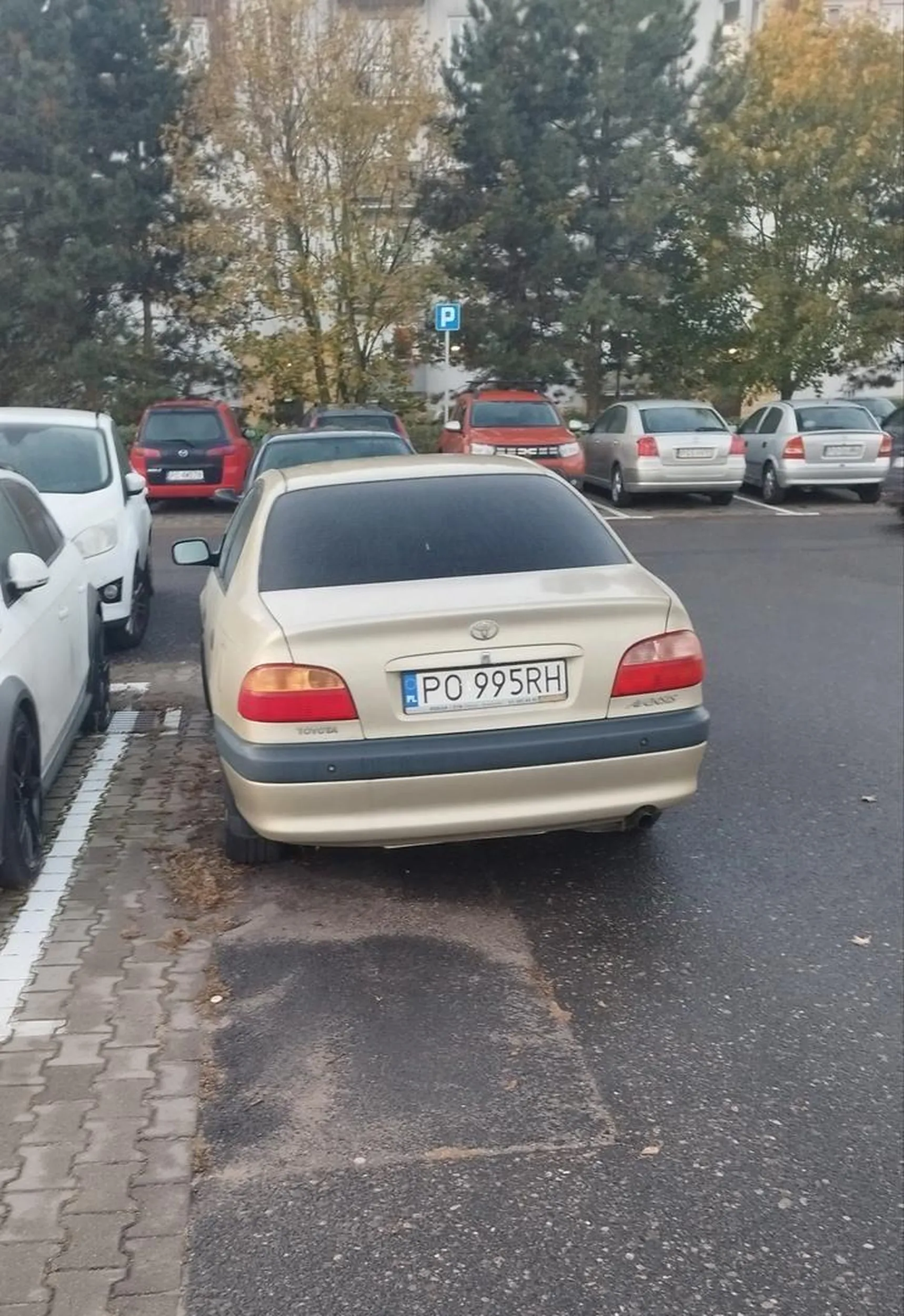 Pieknie parkujesz na przejezdzie, oczywiscie lini parkingowych slepak nie widzi.