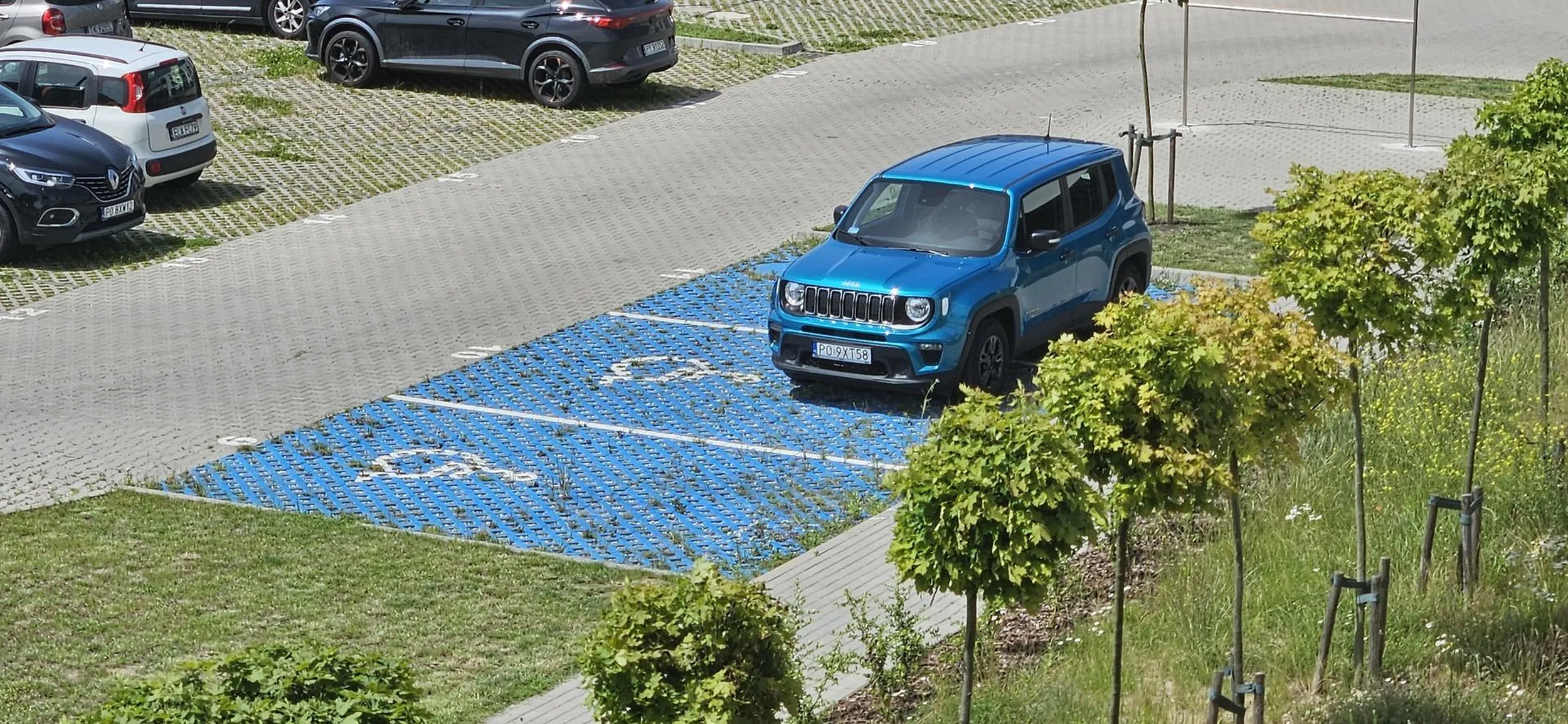 Niebieski na niebieskim