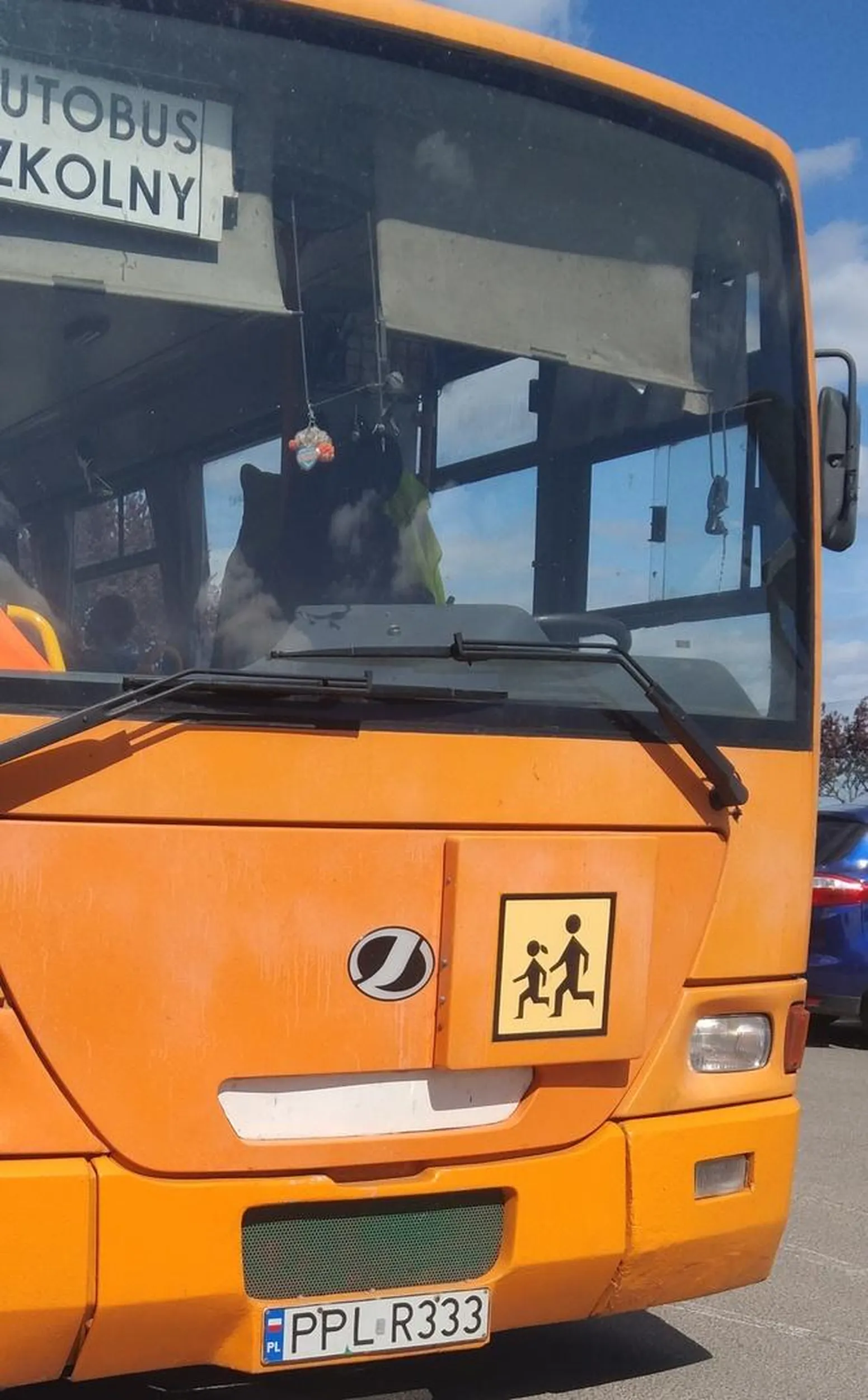 Fajne kolory I Bryczka