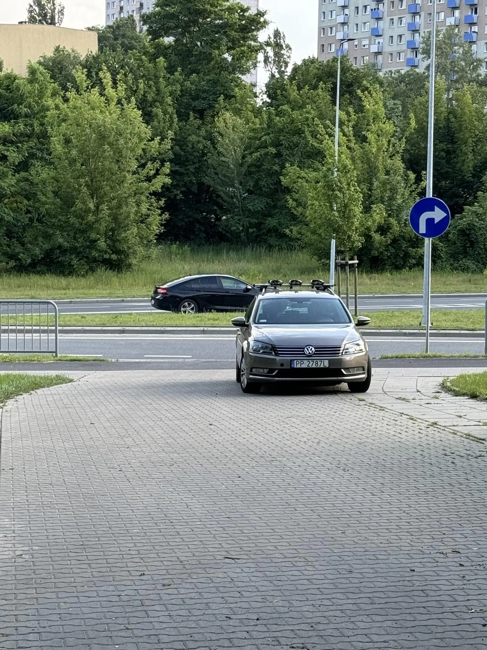 Gratulacje inteligencie