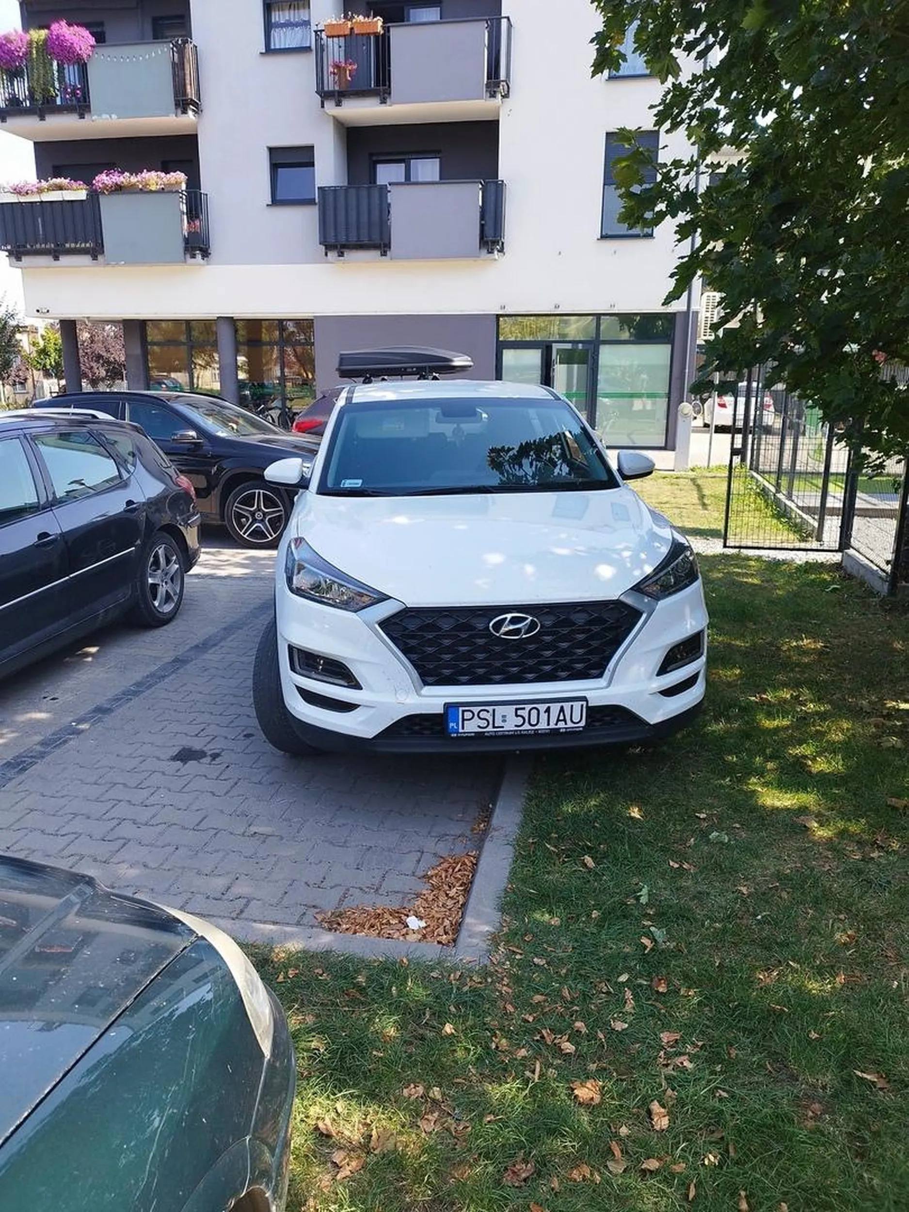 Brawo, kierowca chyba na słuch jeździ