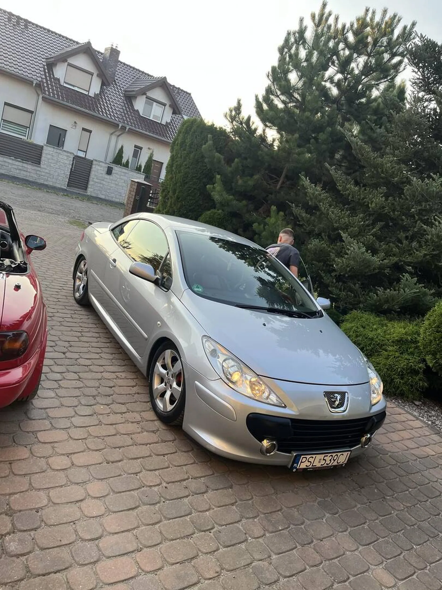 Bardzo ładna taczka szkoda że koła nie ma