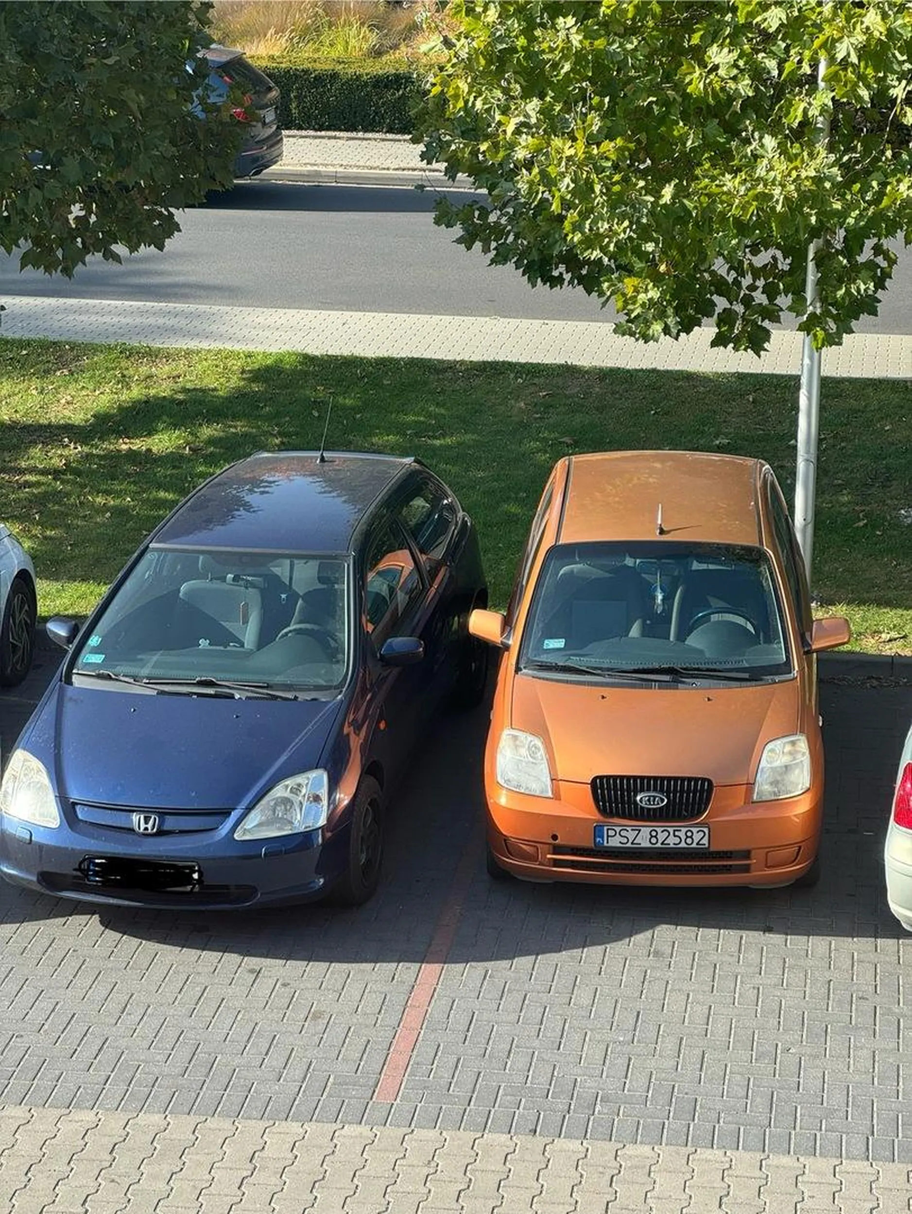 PSZ- pogromy Szumachera mają coraz większy problem z parkowaniem, jak widać na załączonym obrazku kobieta jeszcze się uczy prawidłowo parkować, w jak do tego dochodzi tyłem parkowanie to już zwoje mózgowe się przegrzewają i wychodzi takie coś