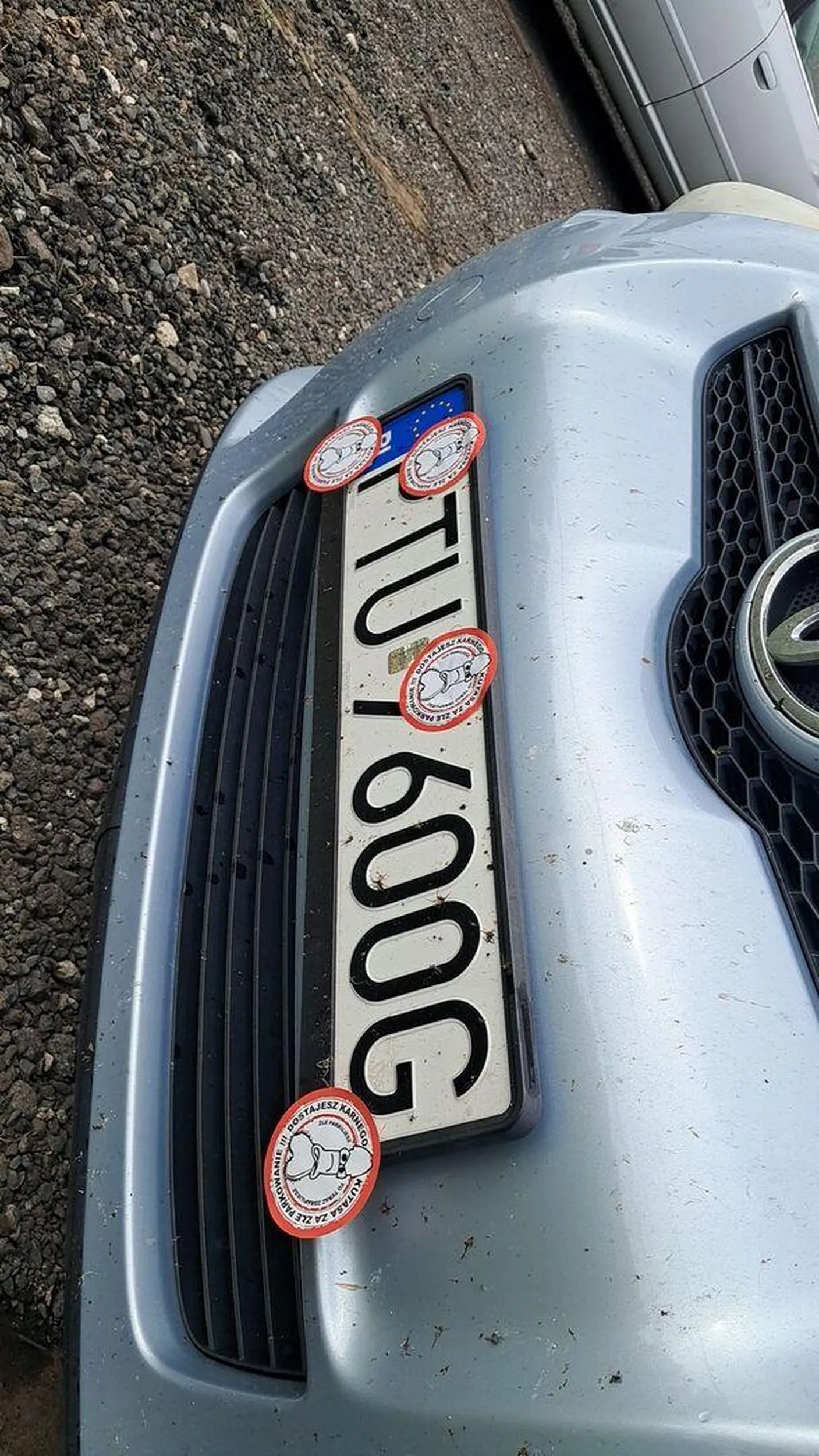 Fajne Karne Kutasy Mordeczko Uważaj Bo ci powietrze Jeszcze Spuszczą