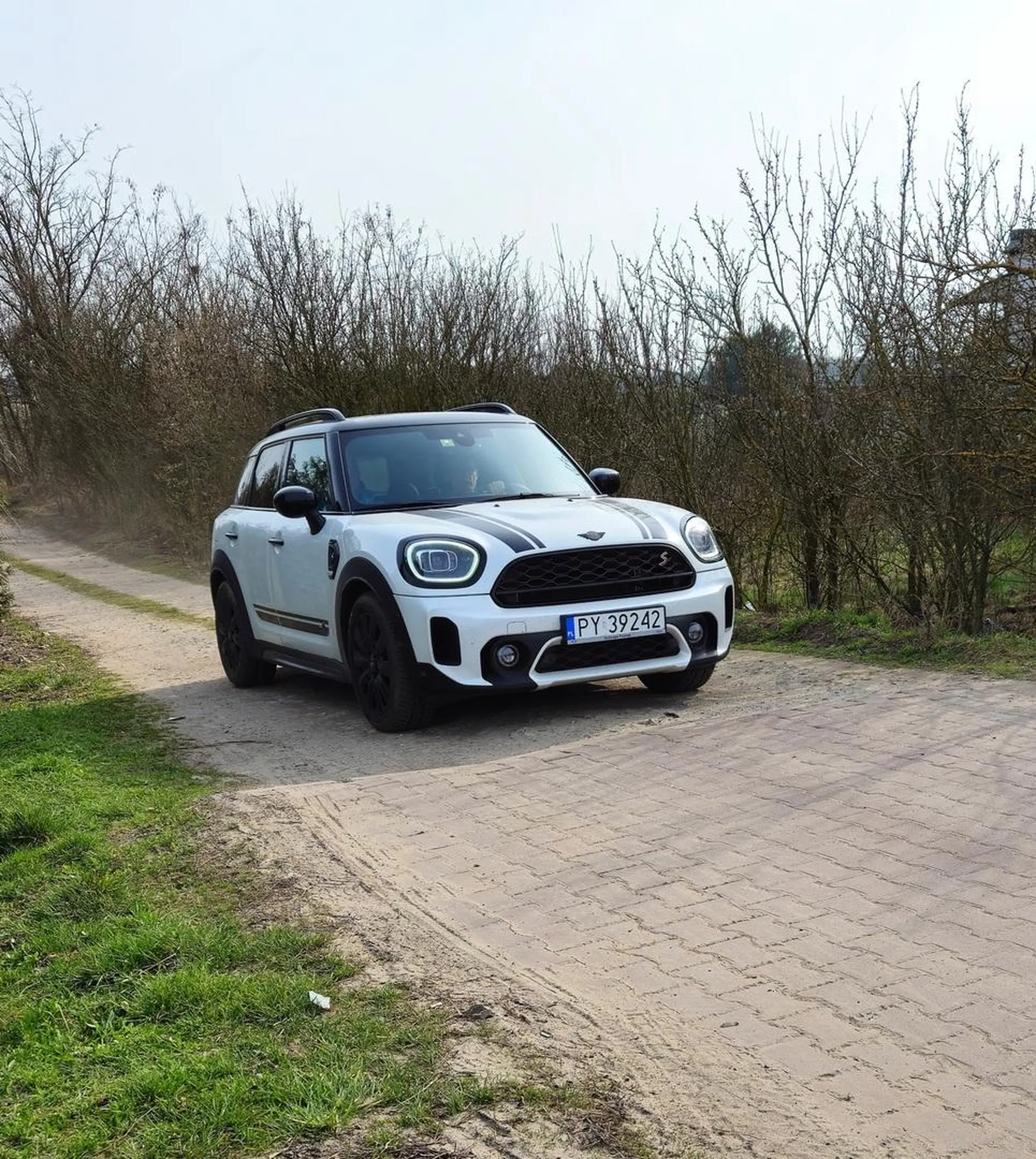 Stalker, prześladowania