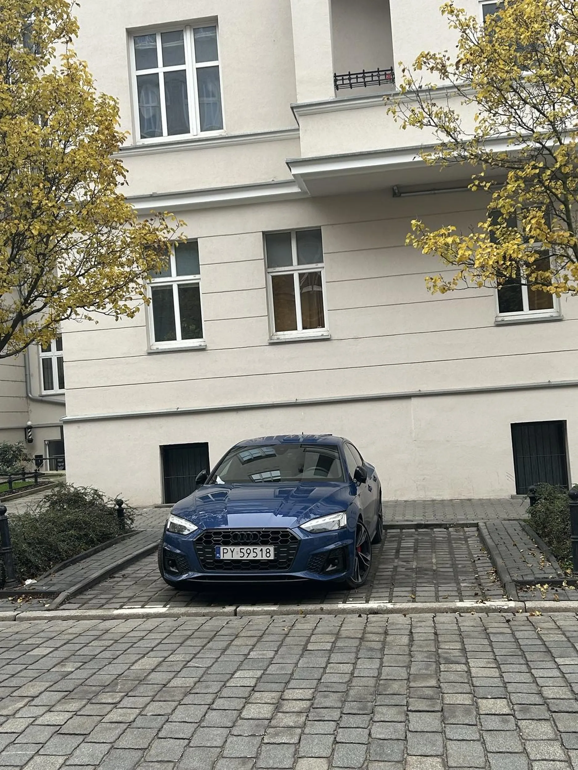 Jedno auto, a szlachcic zajął dwa miejsca. Jak się boisz zarysowania to parkuj na prywatnym parkingu, a nie blokujesz miejsce na jednej z najbardziej aktywnych ulic w Poznaniu (przy samym jarmarku).