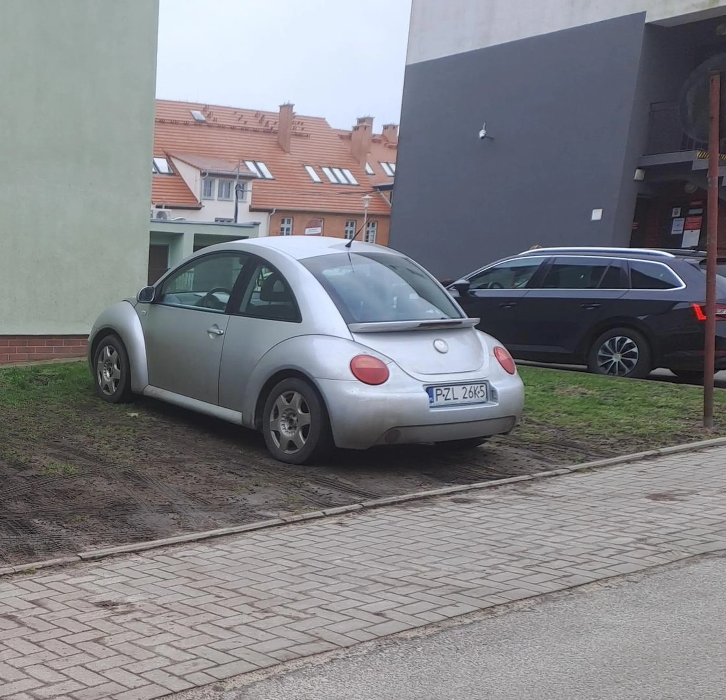 Cebula ma w d... miejską zieleń pielęgnowaną z pieniędzy podatników. Ciężko d... ruszyć z parkingu oddalonego o niecałe 100m
