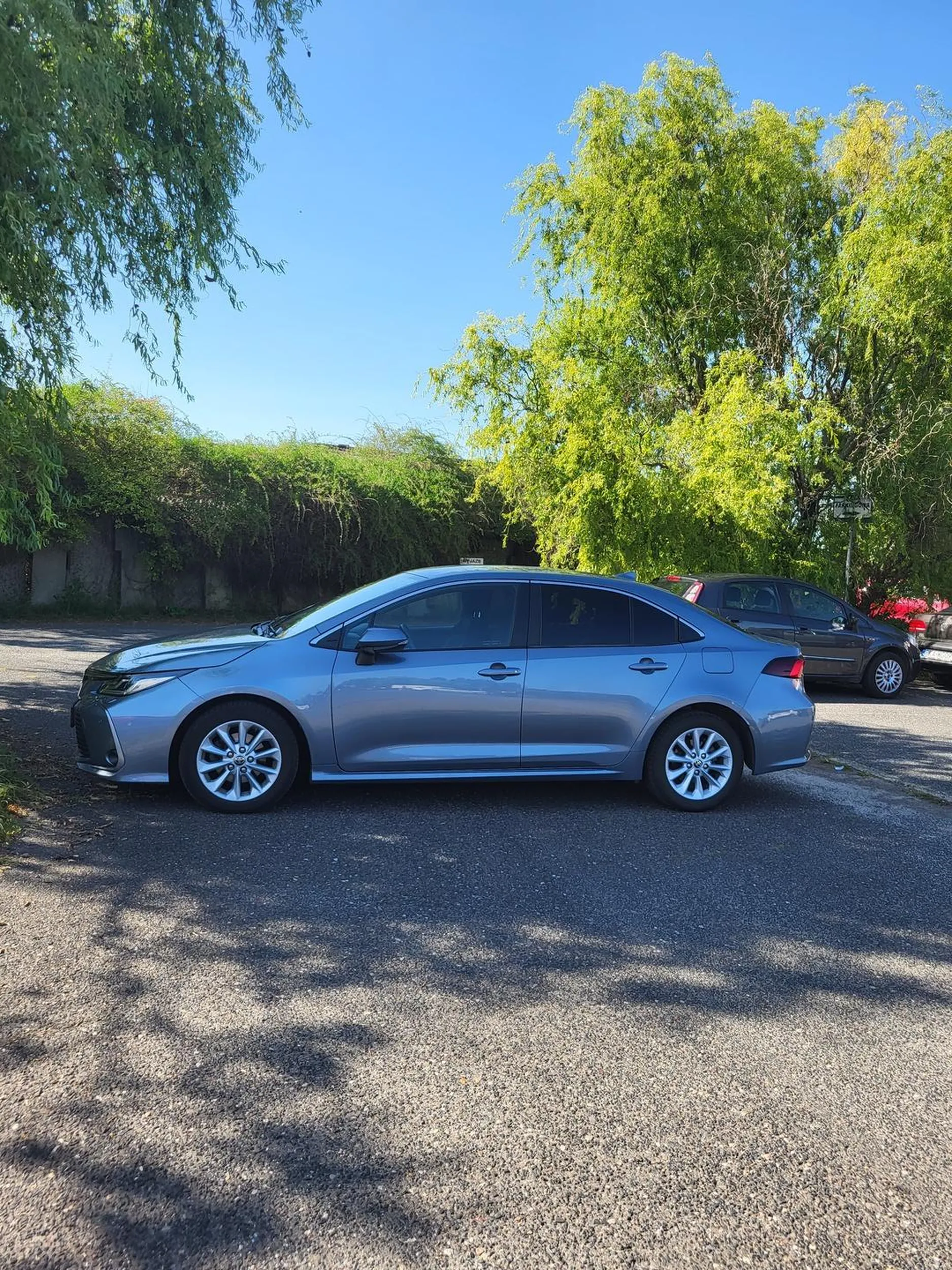 Stanęła na drodze wyjazdowej z parkingu, za co dostała mandat i kłóciła się z nadzorca parkingu życząc mu za to smierci xD
