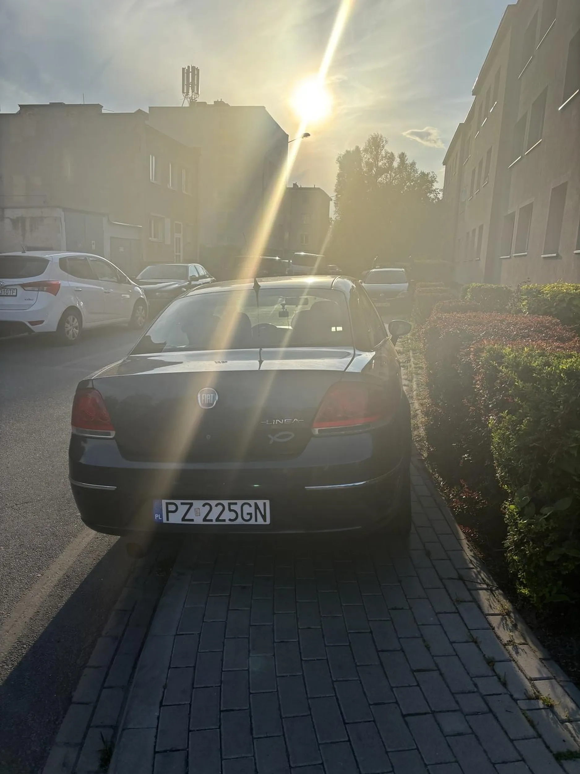 Dziwne że prawko zdane skoro kierowca nie wie ile to jest 1,5 dla przechodnia ? że tacy ludzie istnieją…