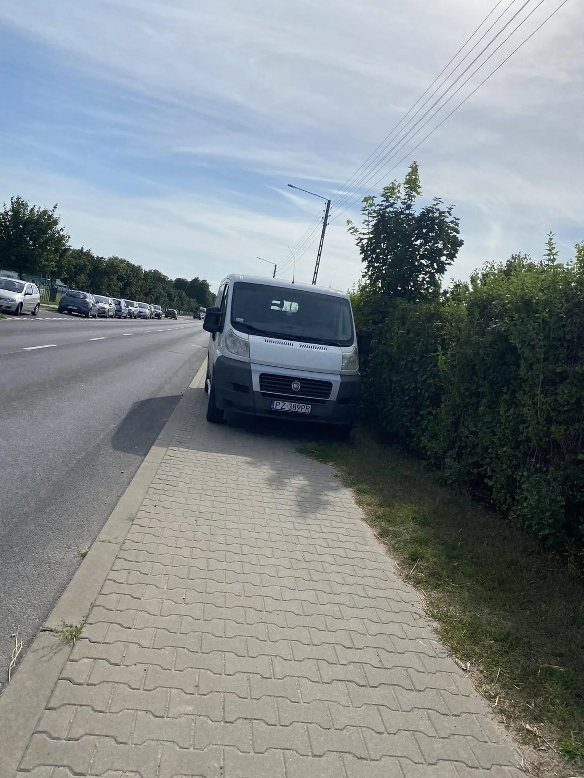 Śliczne parkowanie?