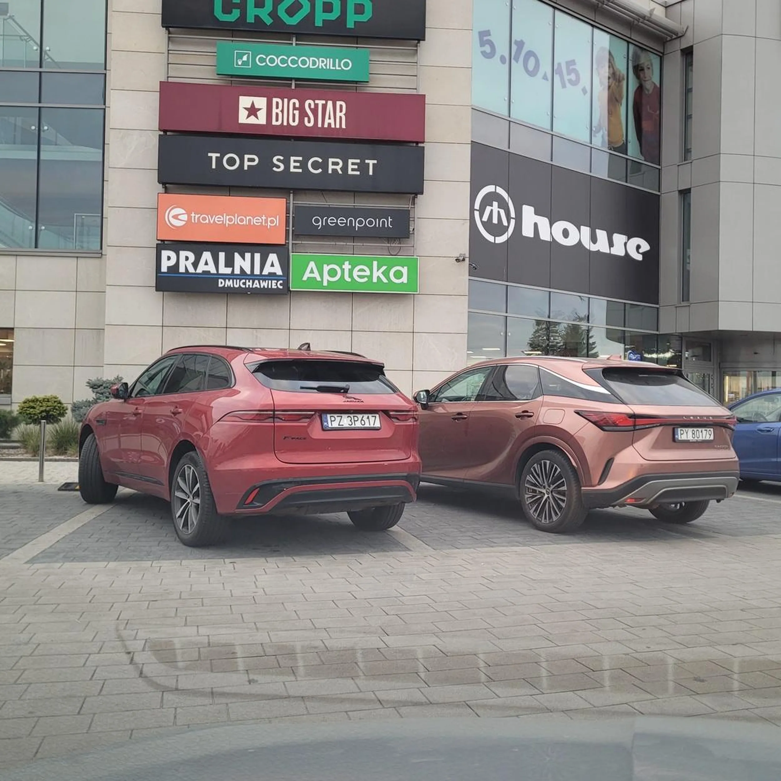 Parkuje jak święta krowa.