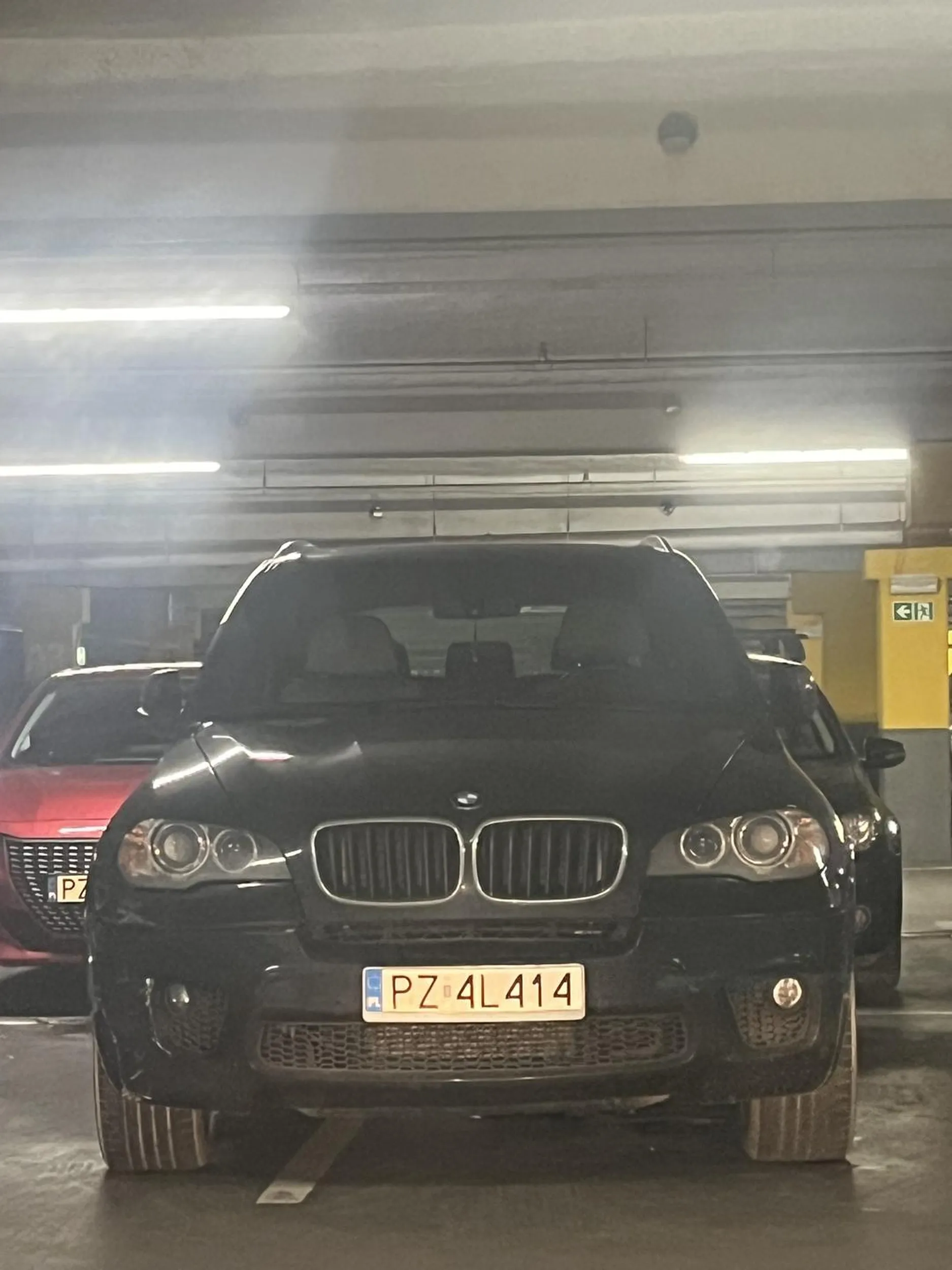 Odyniec taki gruby ze musial zajac dwa miejsca postojowe bo ledwo wysiadal. Okres swiateczny miejsc jak na lekarstwo...