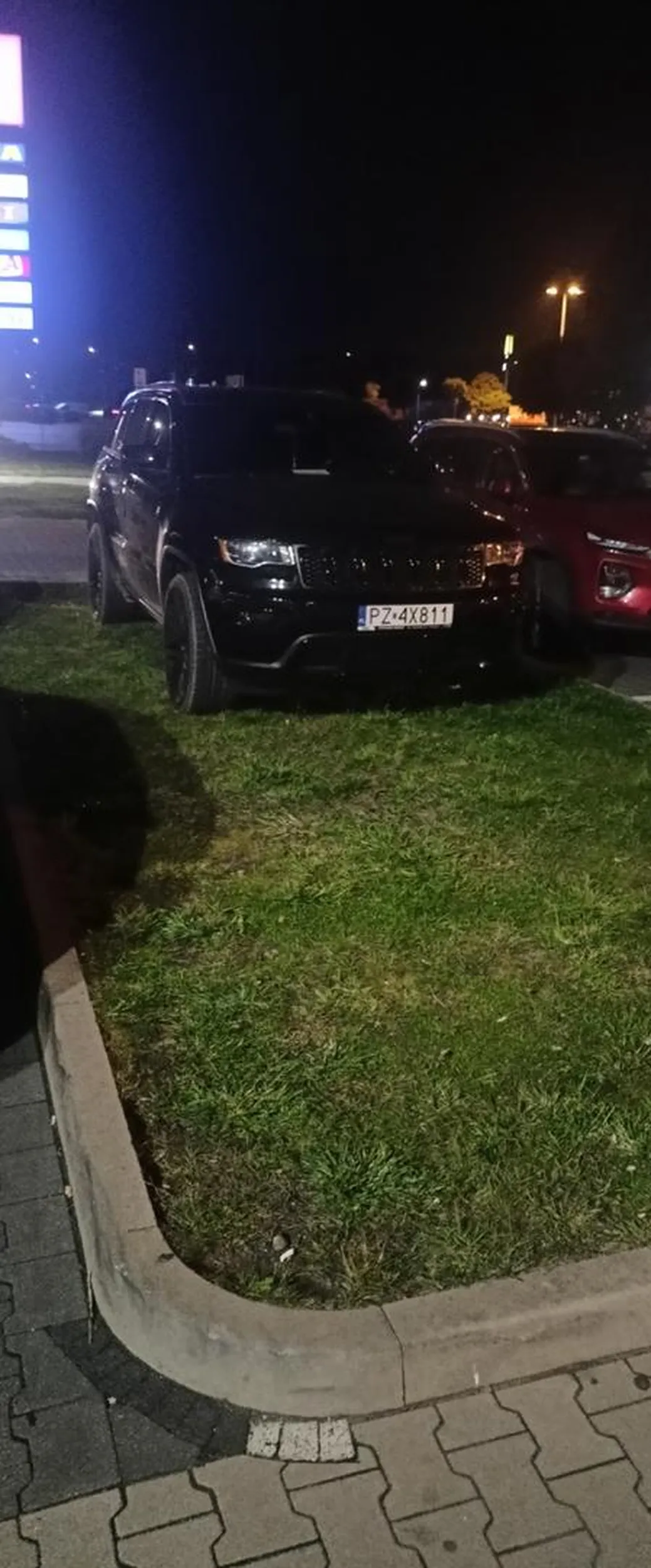 "Mistrz" parkowania.