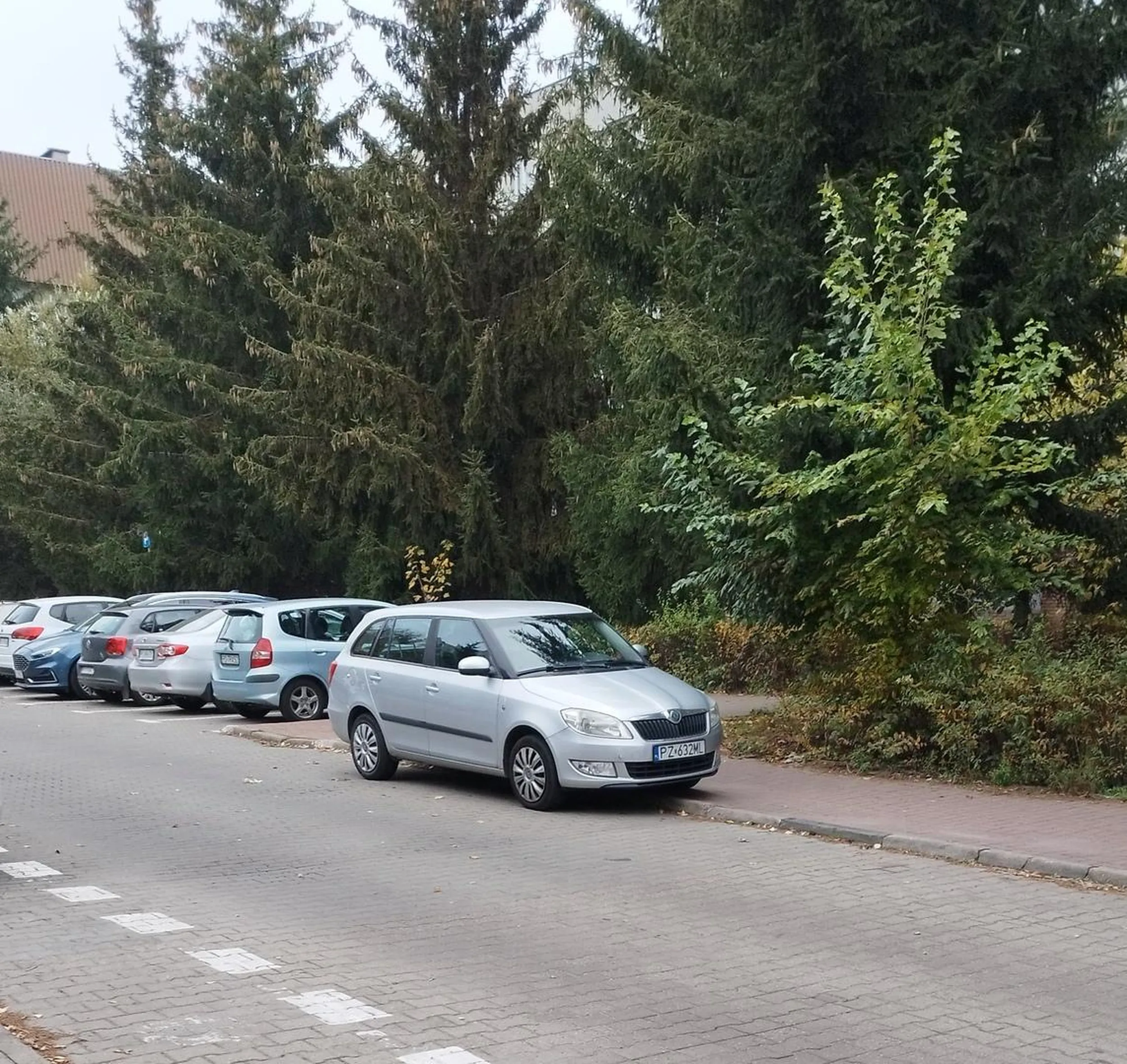 Parkowanie poza wyznaczonym miejscem.