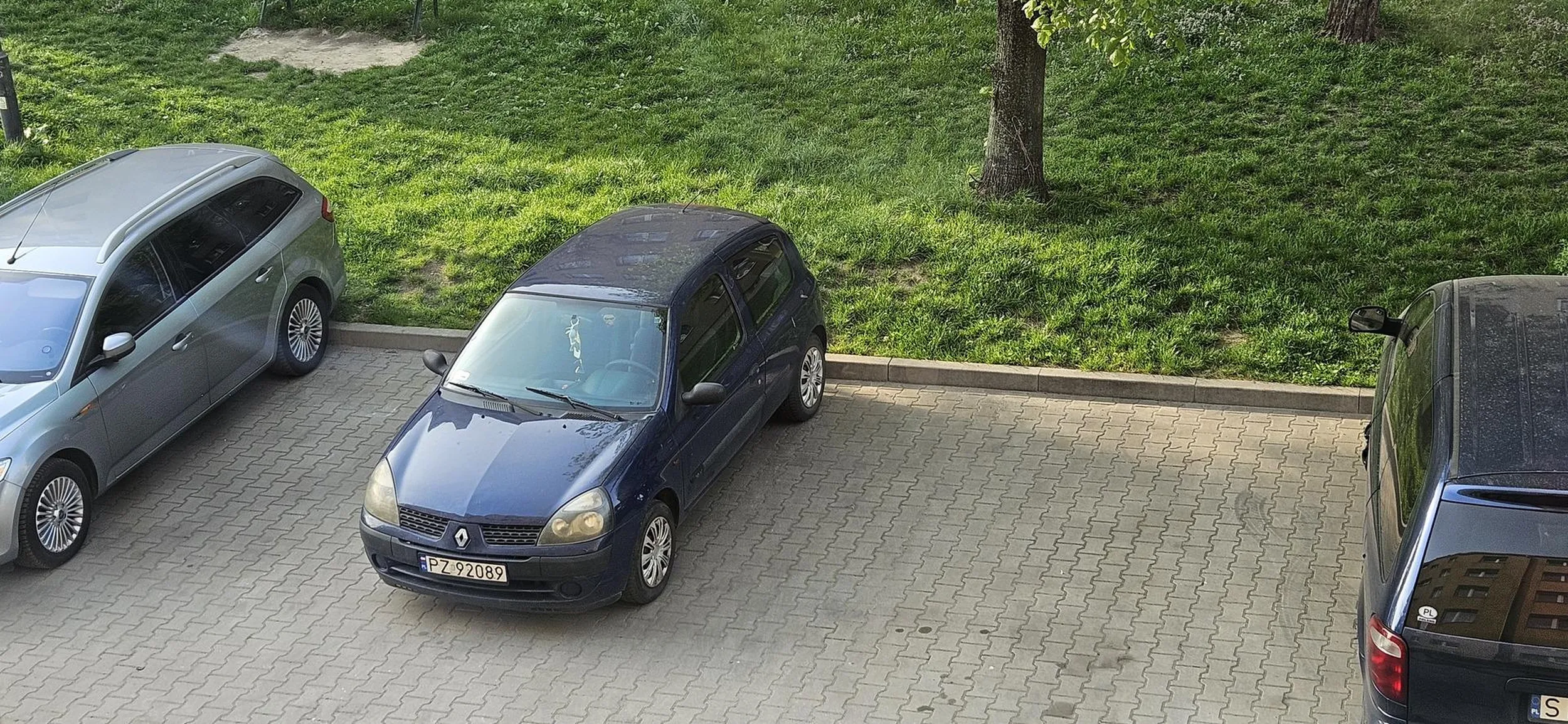 Jestem niedorozwojem i lubię stanąć takim srajtkiem jak święta krowa.