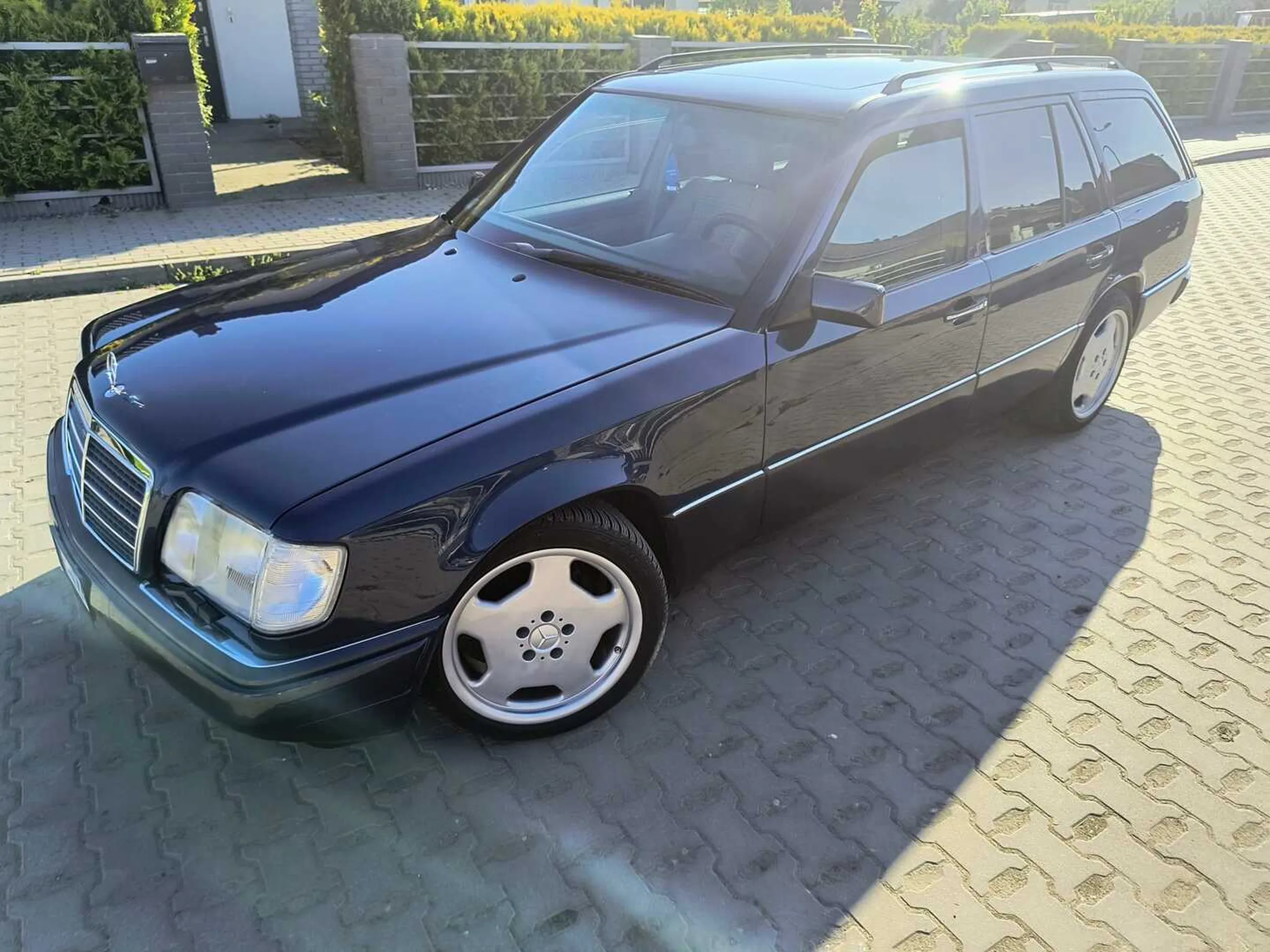 Piękne 124, 250 T D.