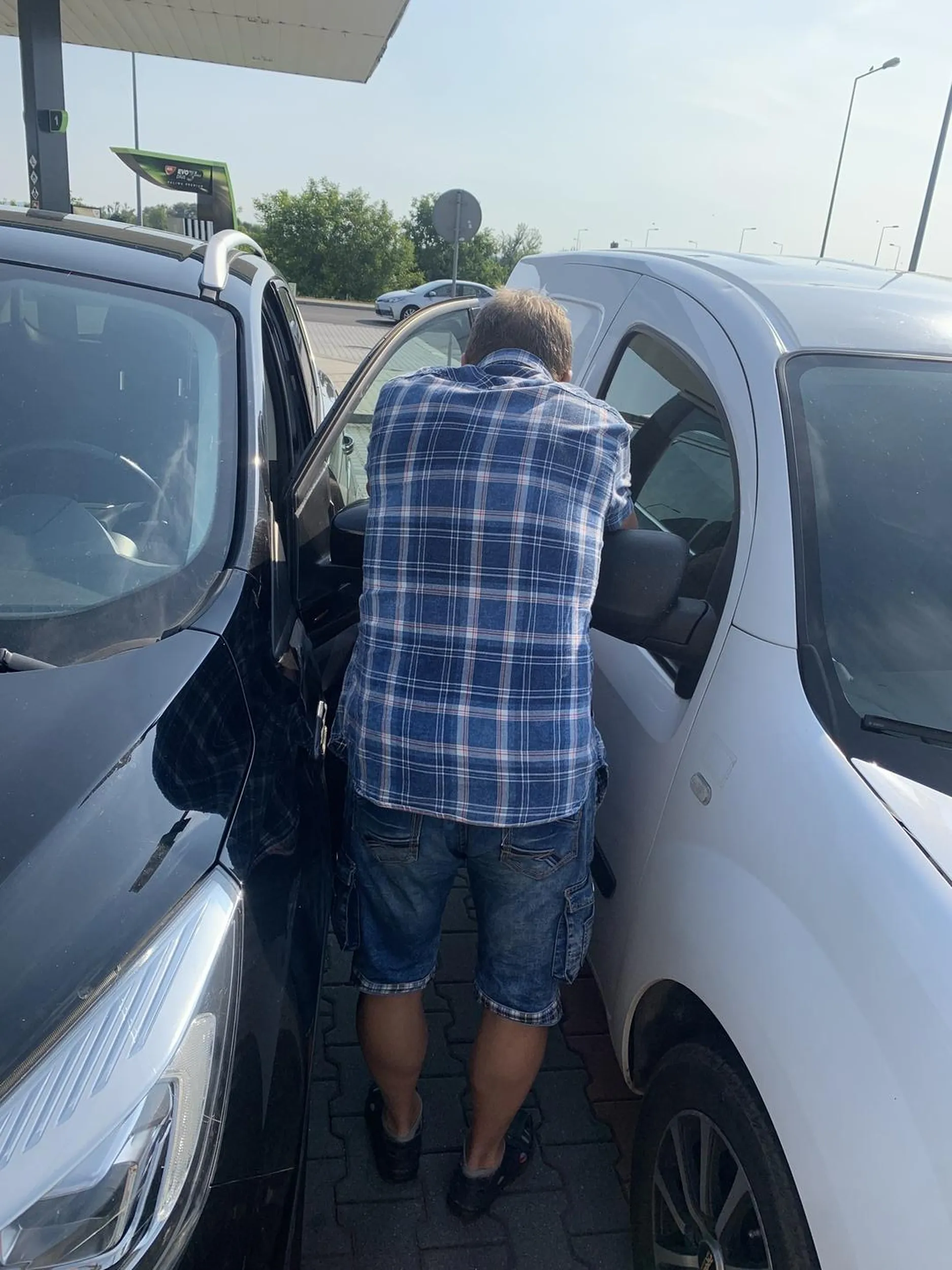 Kasztan stary tak zaparkuje i auta obija drzwiami