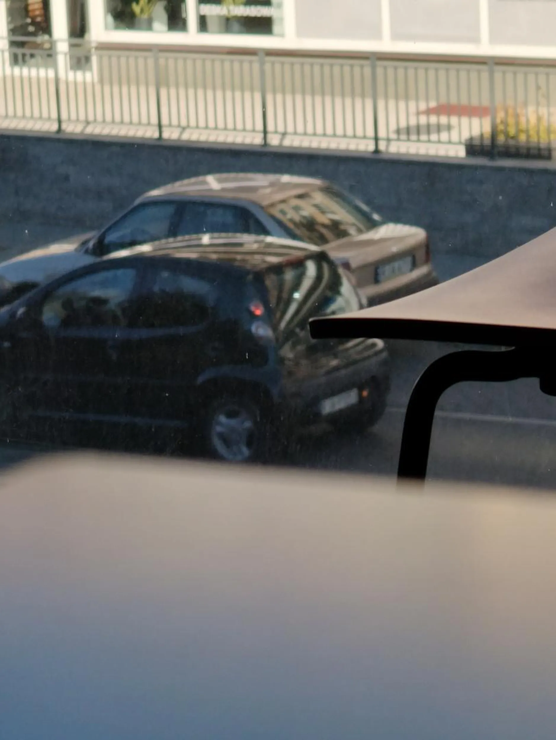 bardzo ładna asterka boża