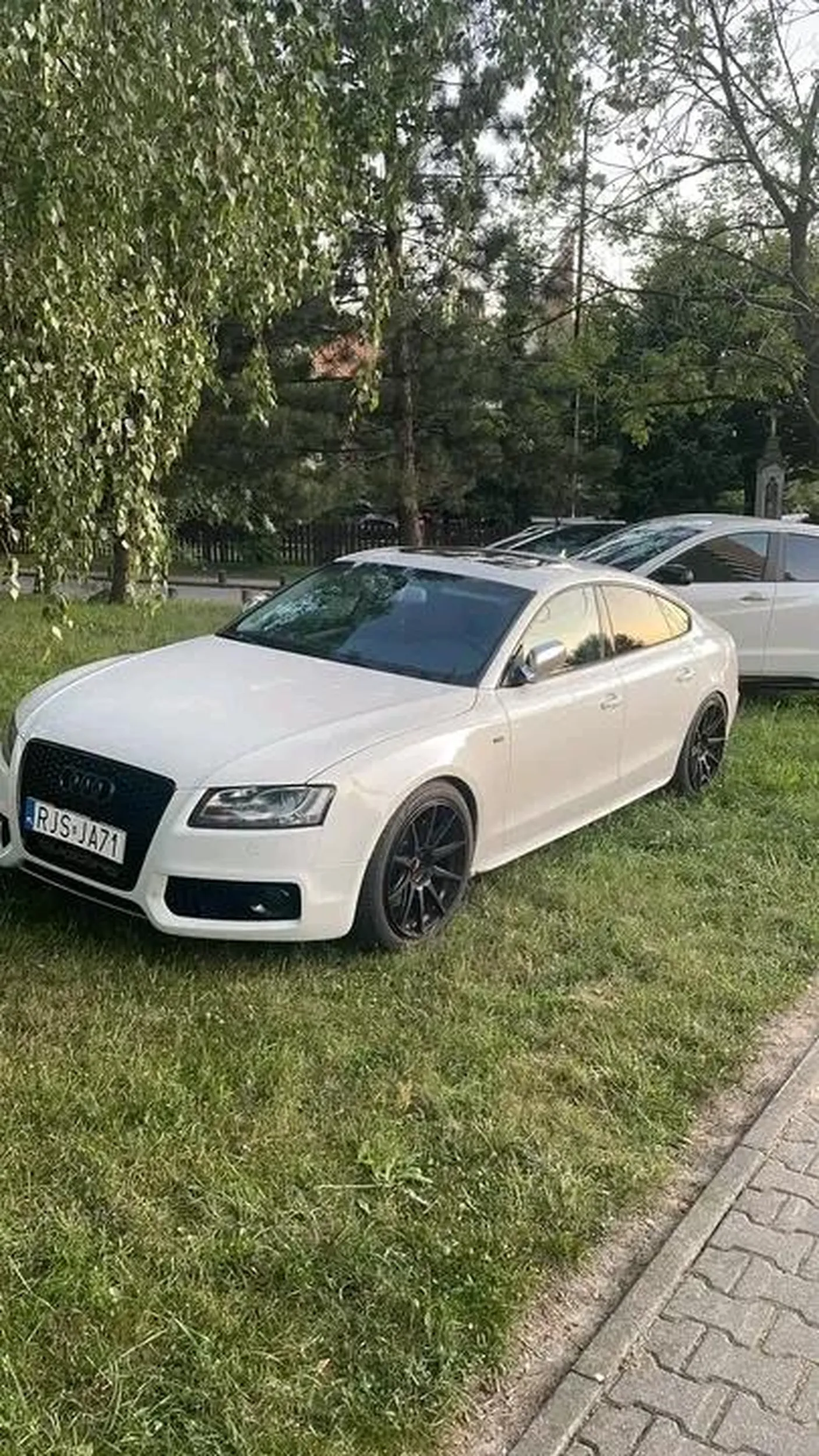 Na audi go stać, na parking nie. Rozjeżdża trawniki, totalne zezwierzęcenie na drodze