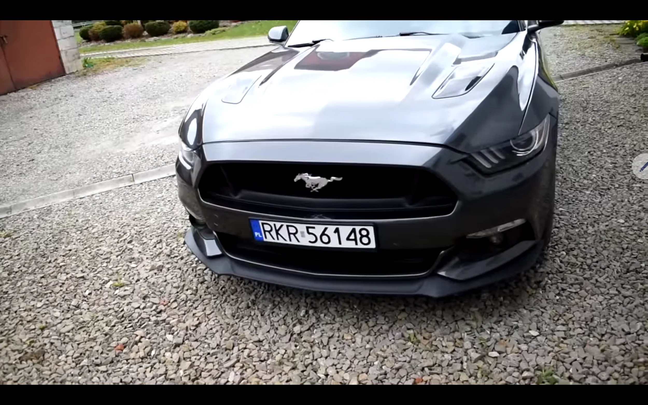 Nigga car mustang pozdro 2024