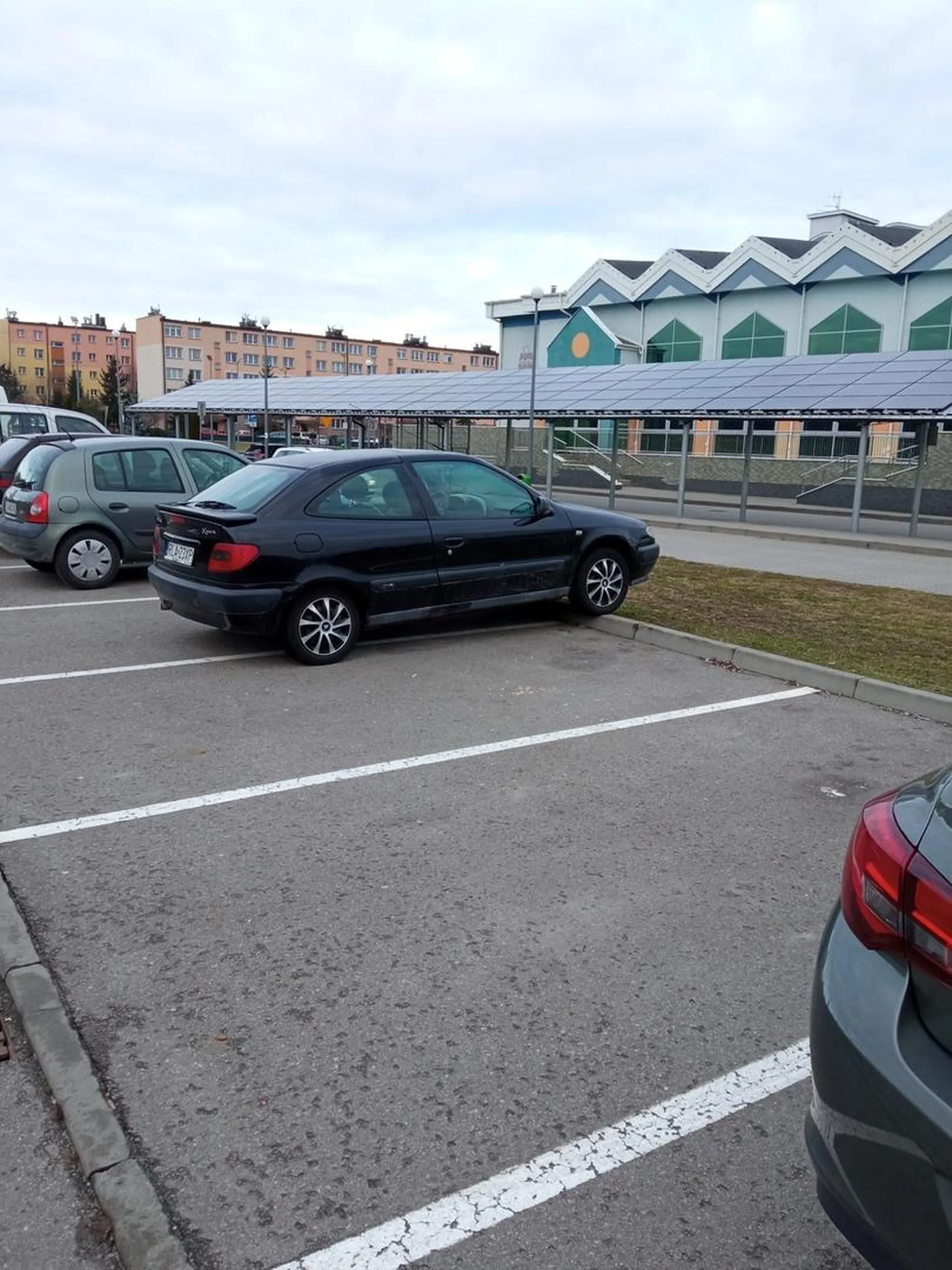 Zjeb nie potrafi parkować