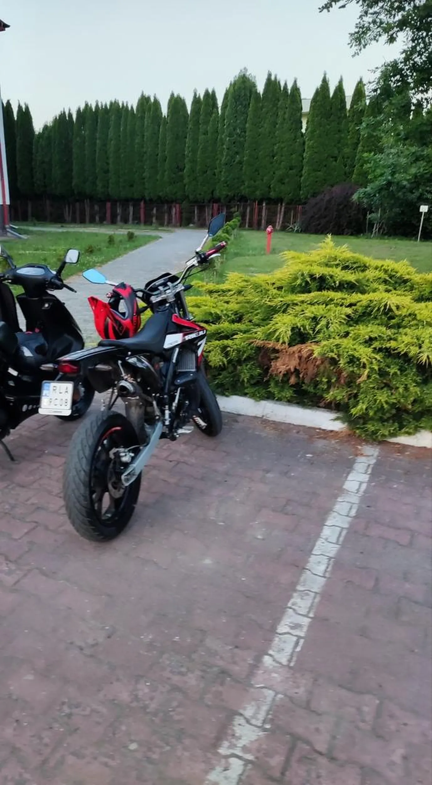 Sikun robi koncerty dla komarów u mnie pod domem