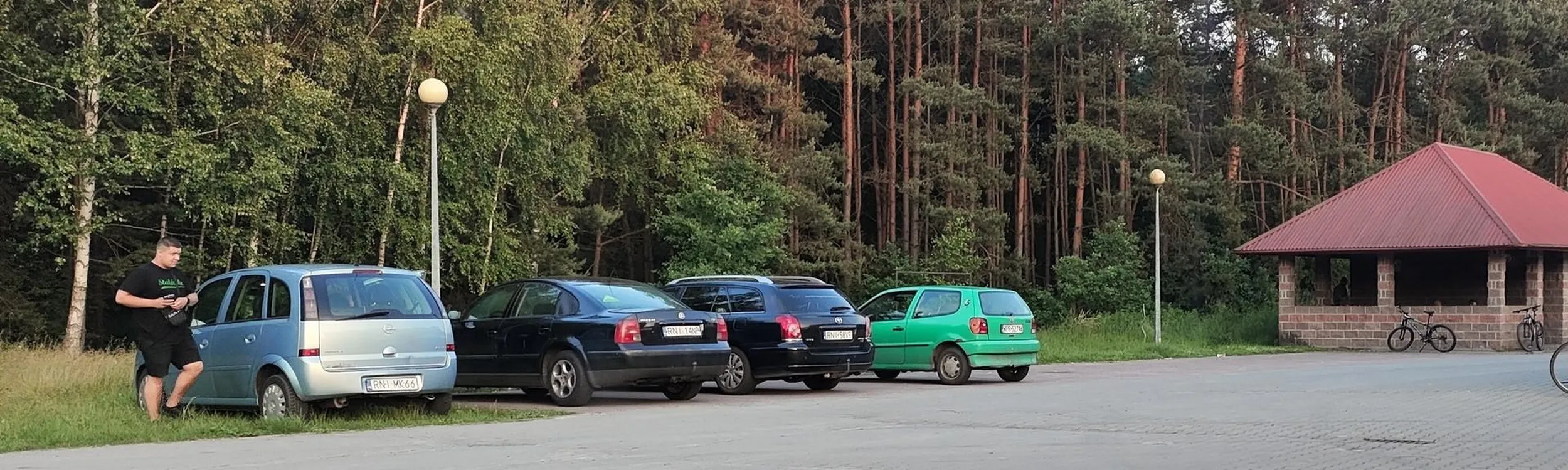 po co komu parking najlepiej pakować na trawie