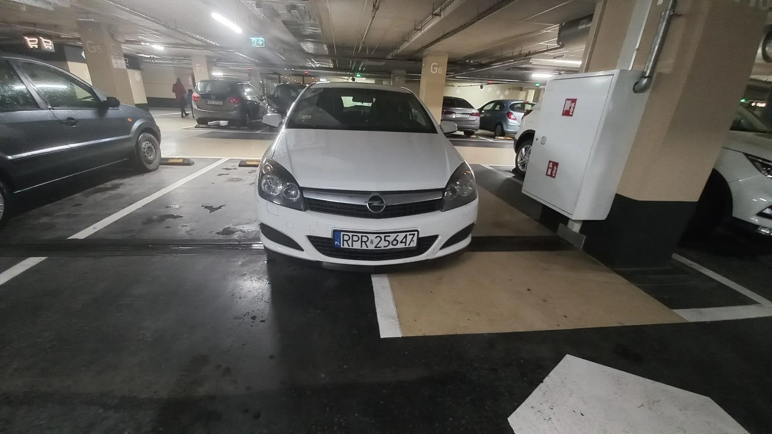 Galeria Serenada. Wiejski czereśniak przyjechał ....