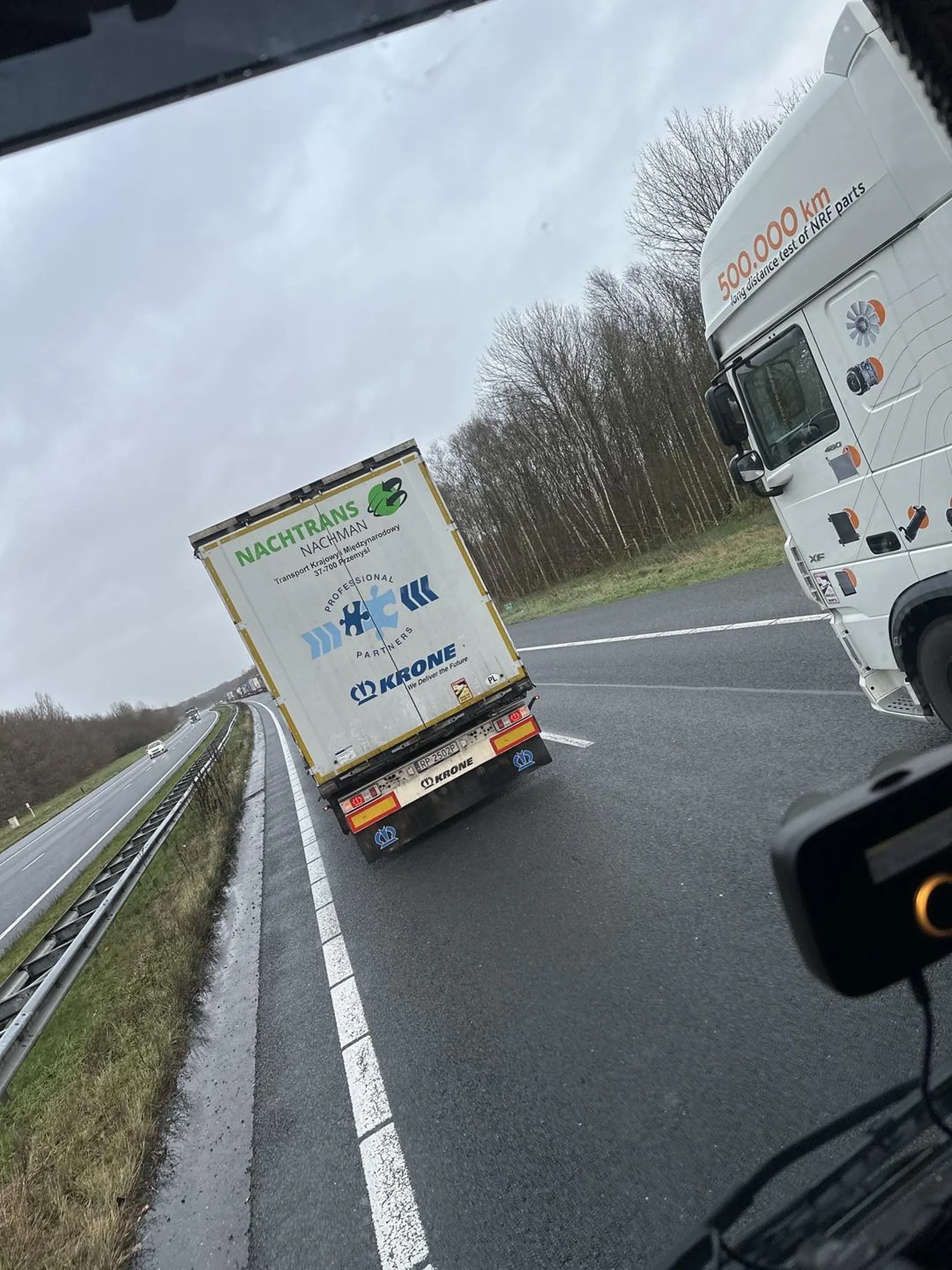 Błazen z odznaką ormo