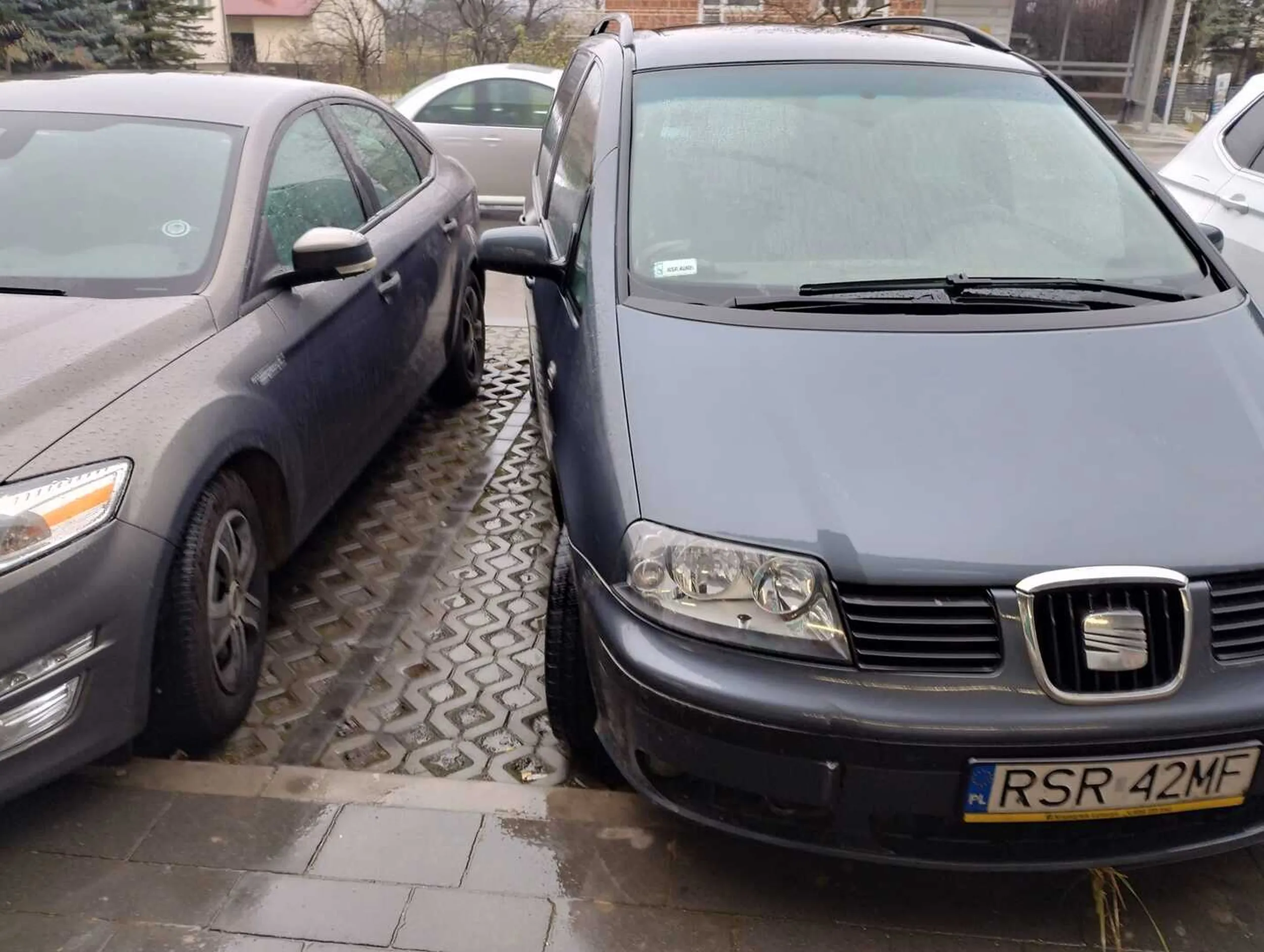 Tak parkują osoby posiadające prawo jazdy znalezione w chipsach