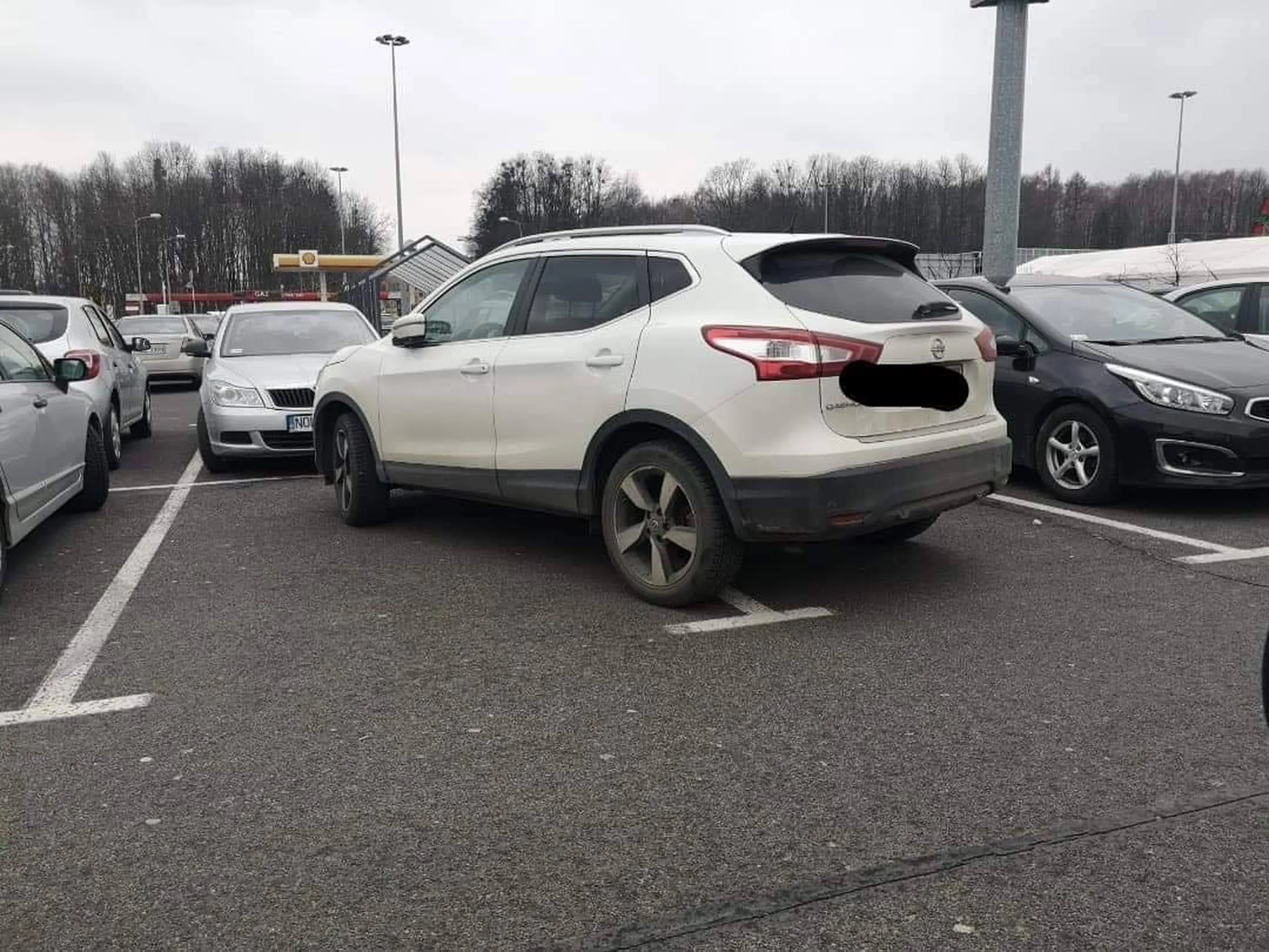 kierowca sieje ferment