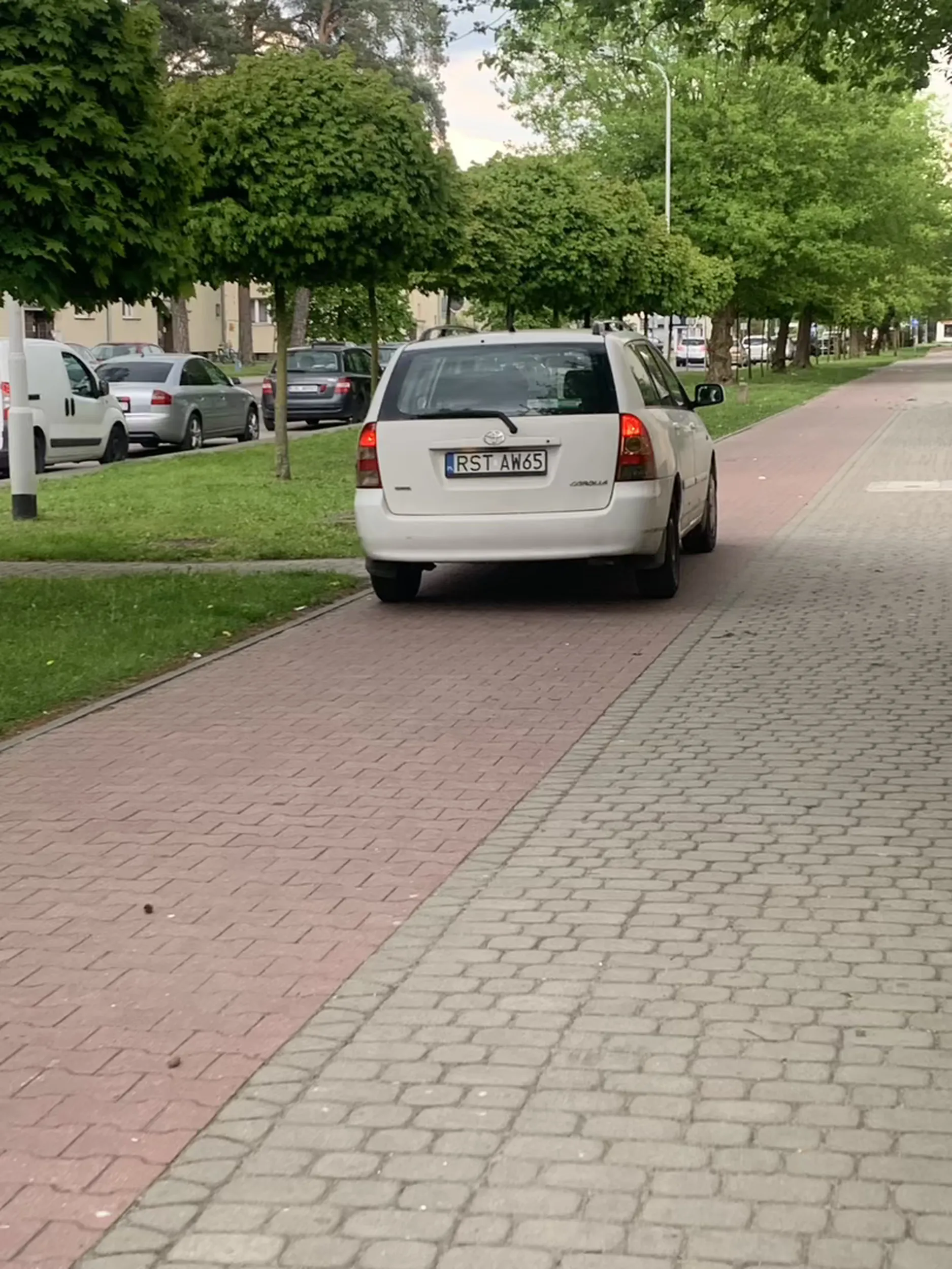 Nie pozdrawiam kierowcy i dziwe się że ma prawojazdy? Ale że krwa po ścieżce dla rowerów?