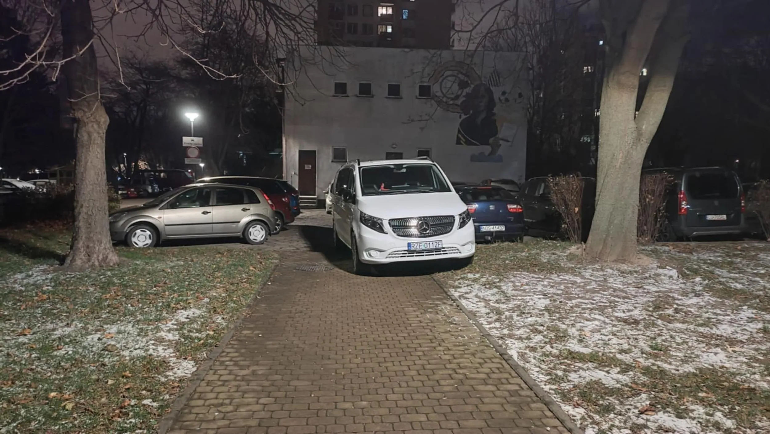 Królewicz parkuje na chodniku oraz na trawniku