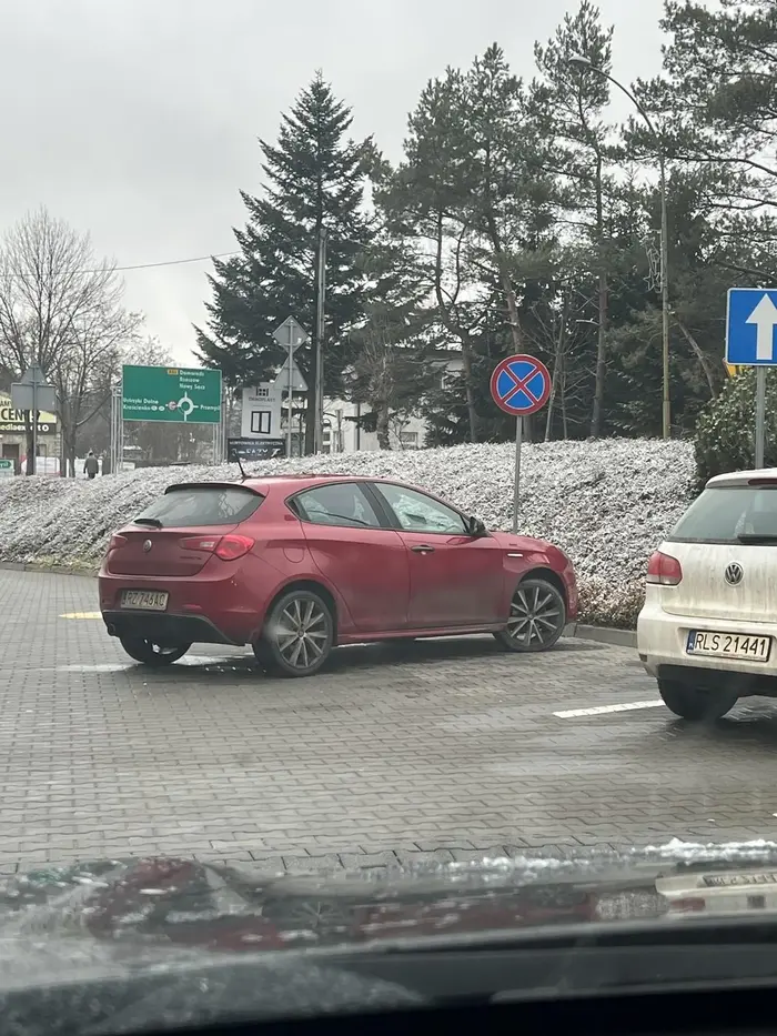 Arcymistrz Parkowania