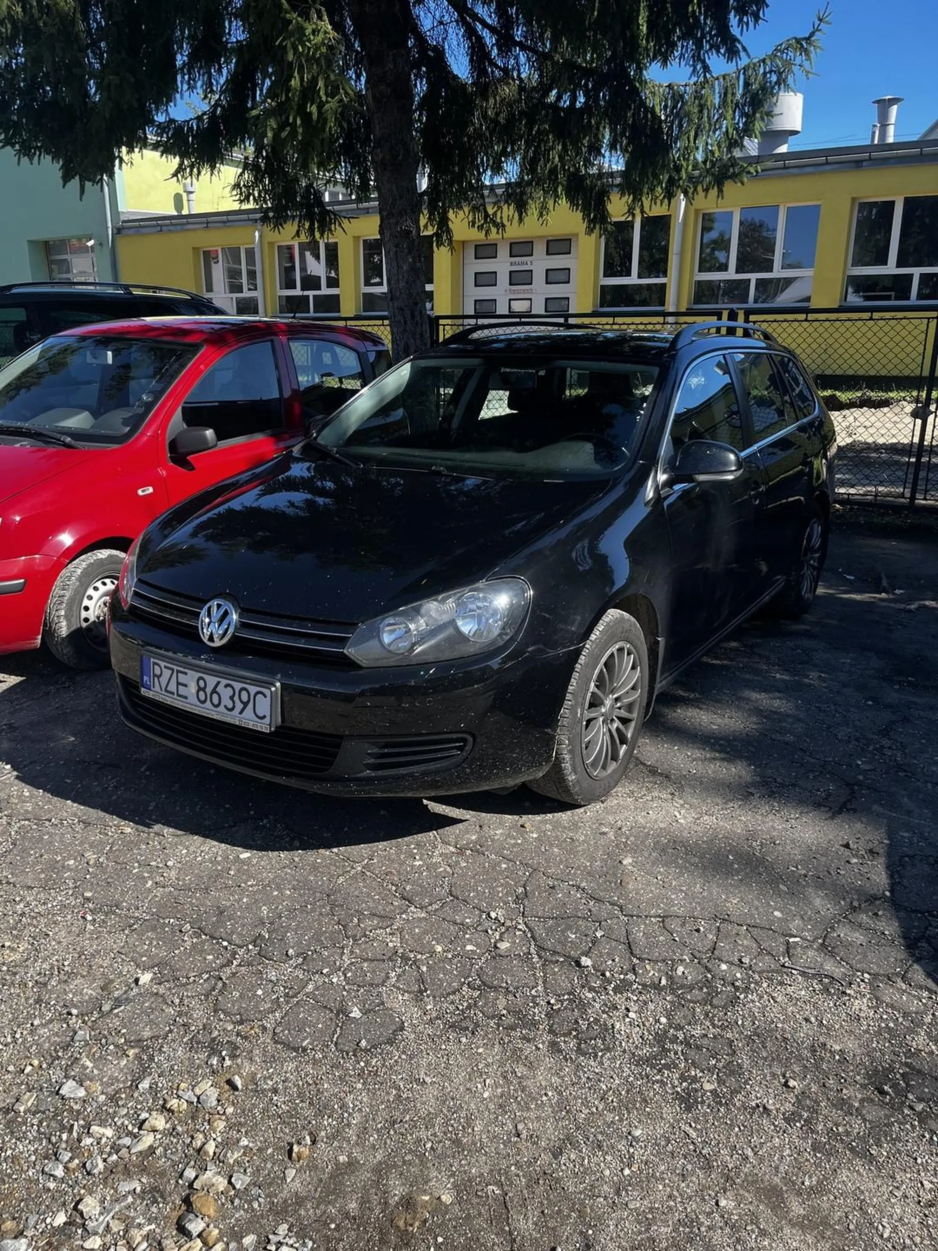 Śmieć z golfa najprawdopodobniej ma rozdwojenie jaźni