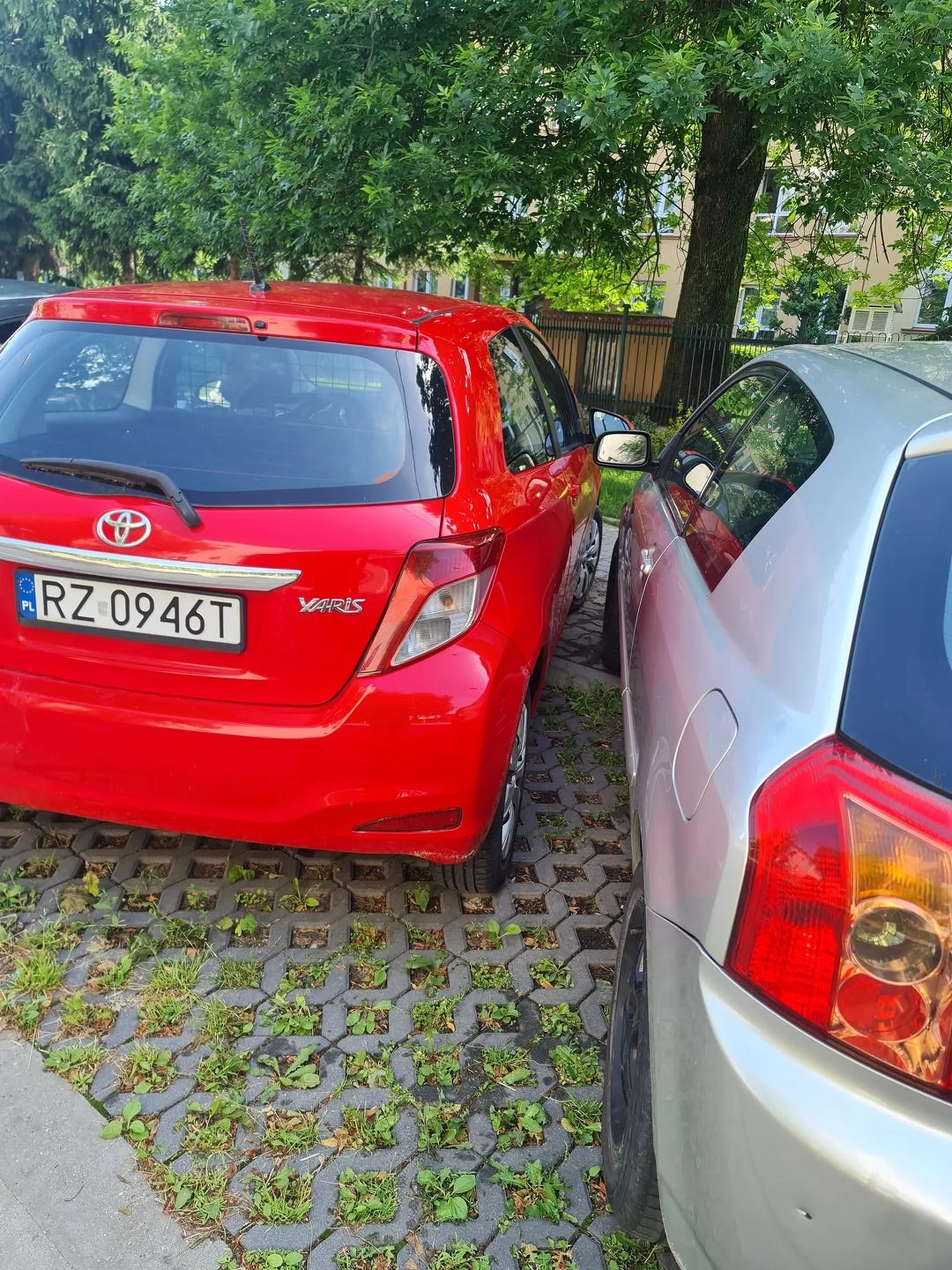 Prawdo jazdy znalezione w chipsach