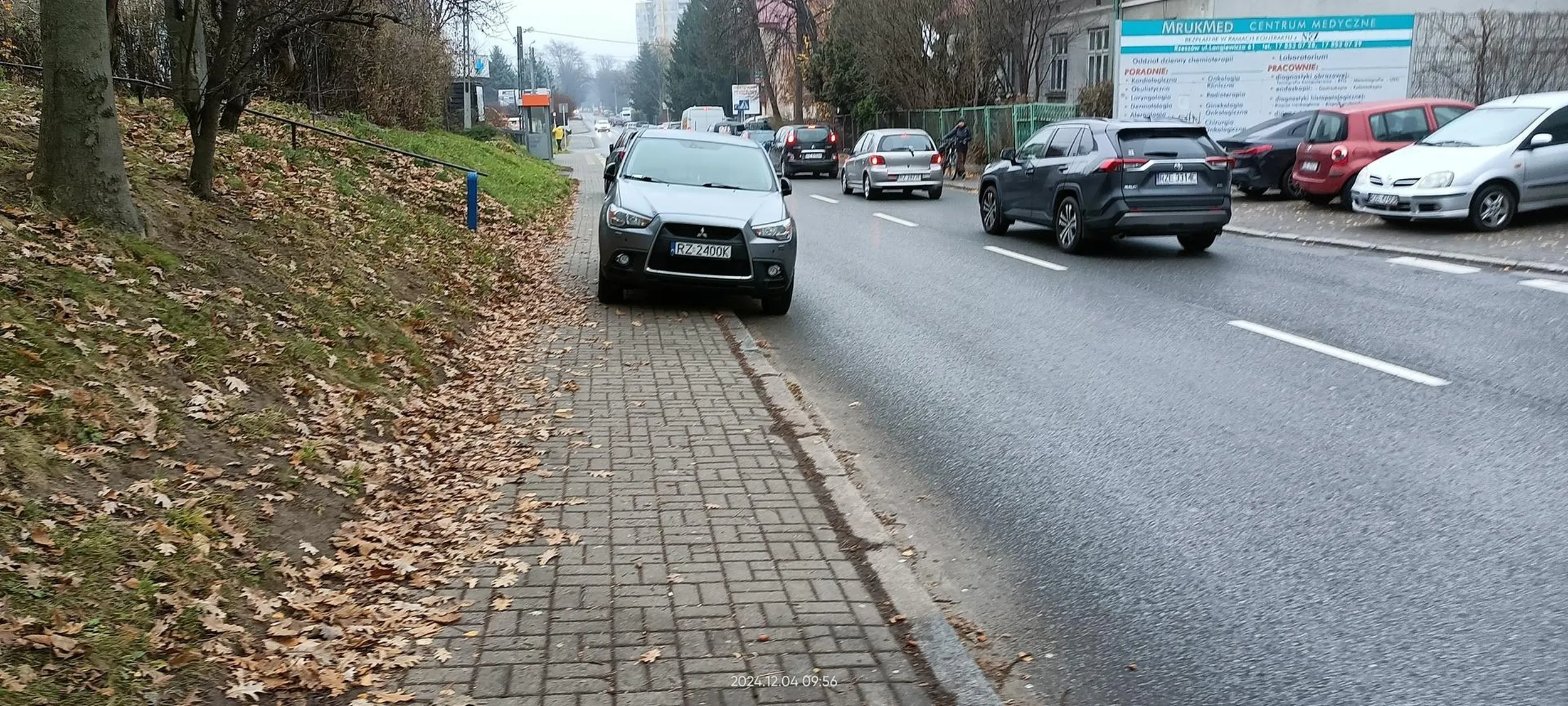 Z cyklu "ŚWIĘTE KROWY RZESZOWSKIE".