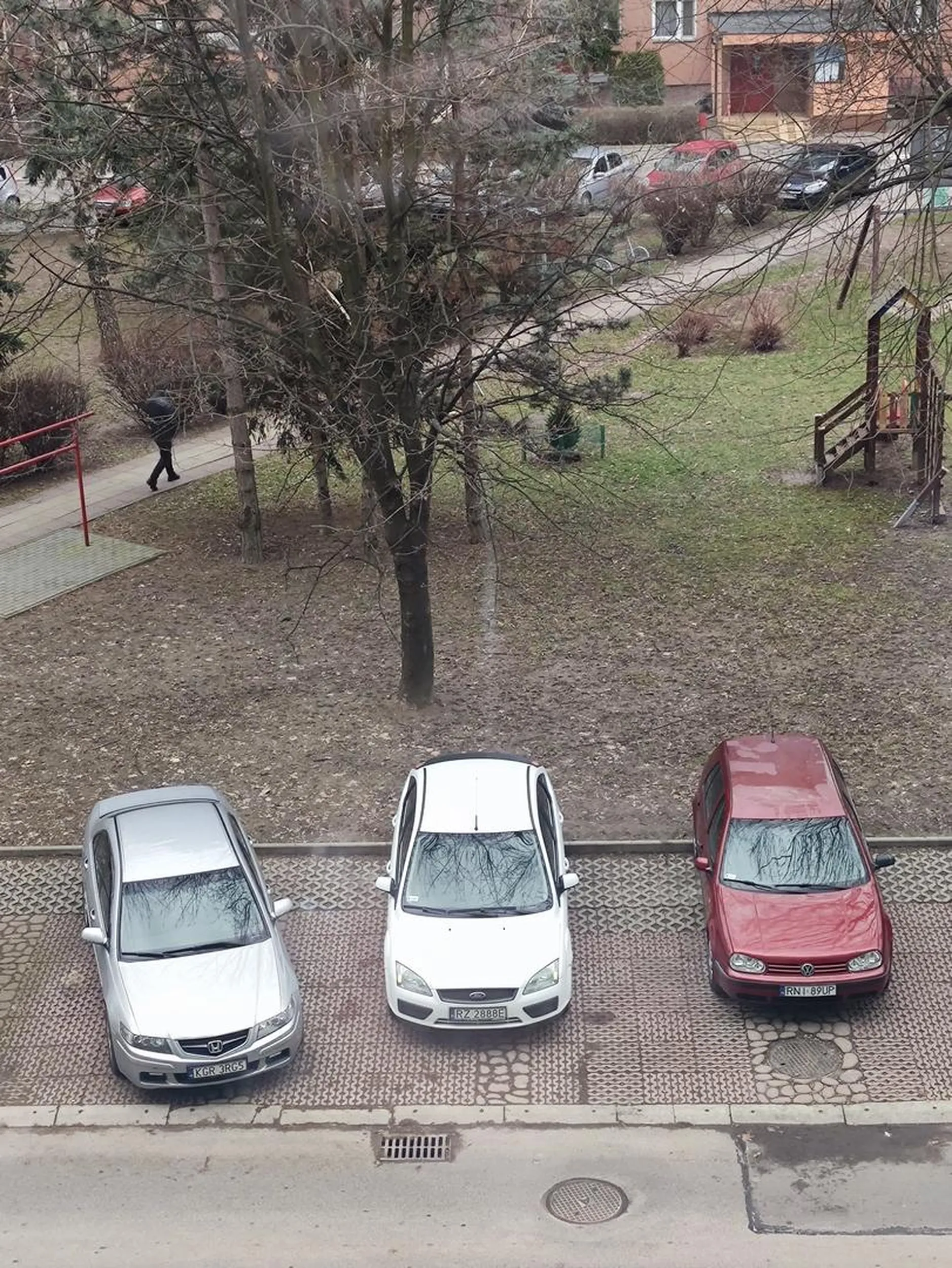 Trzech idiotów i nie wiem który głupszy